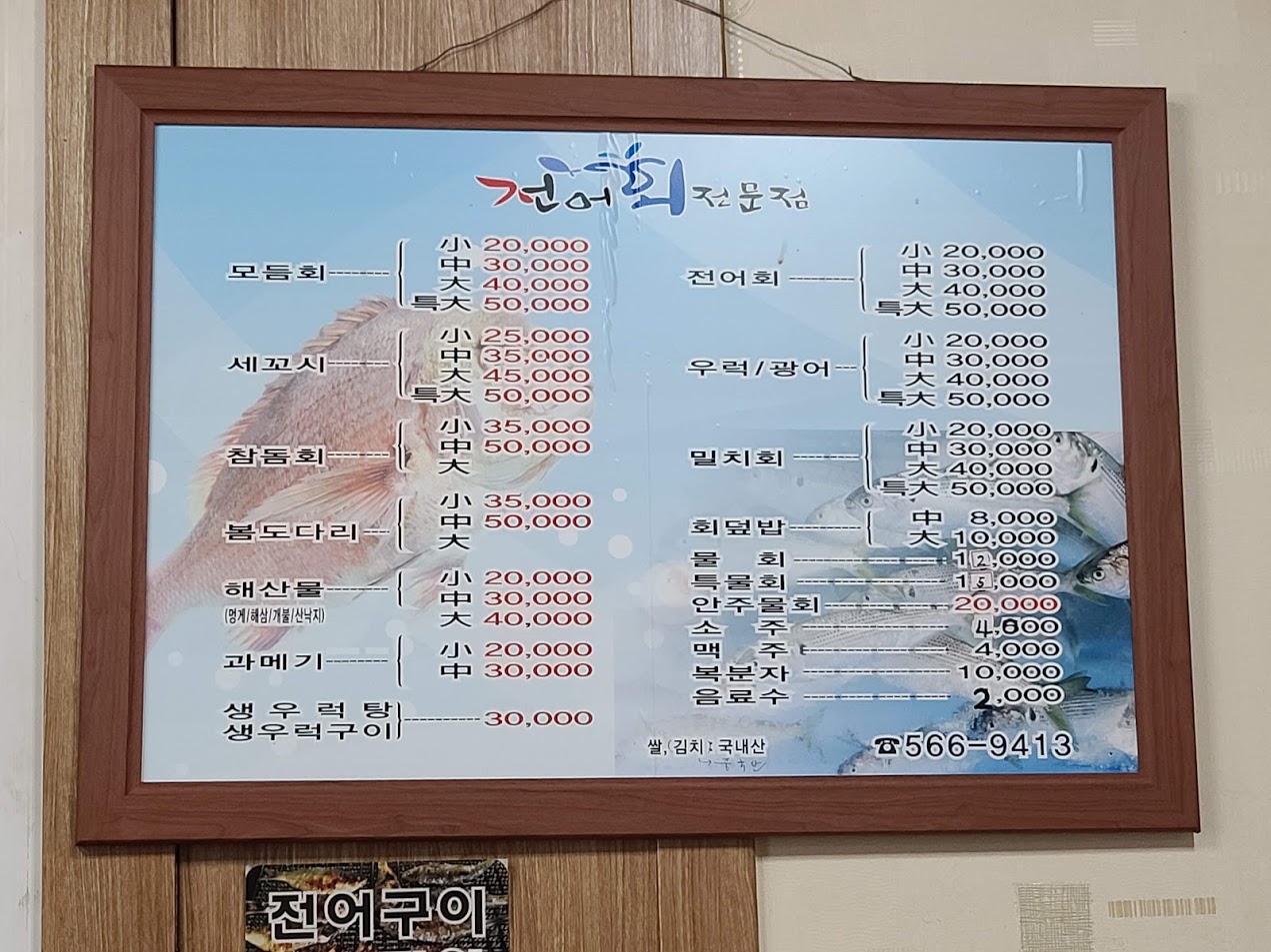 전어회전문활어회센타