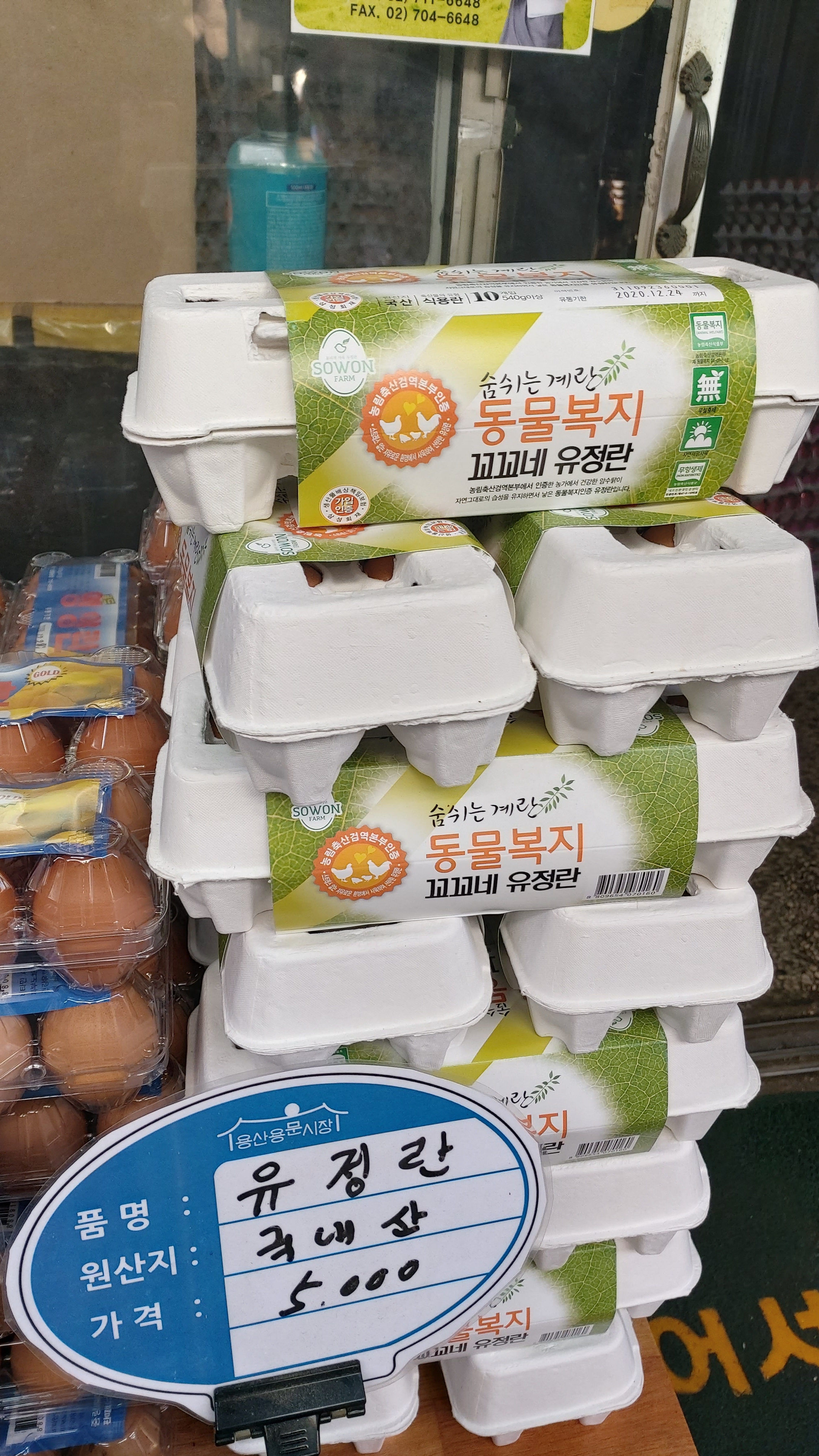 삼일상회 계란