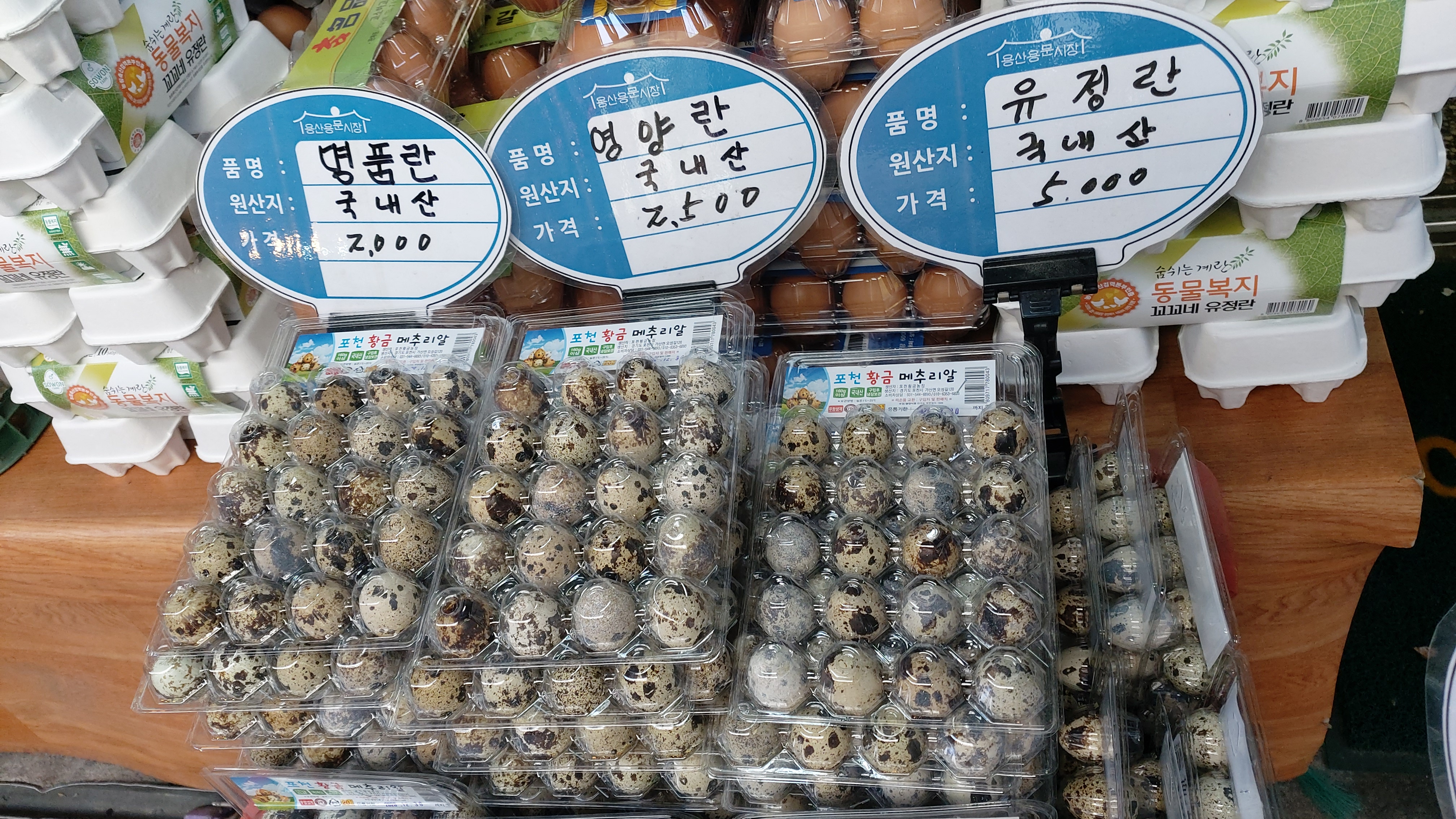 삼일상회 계란