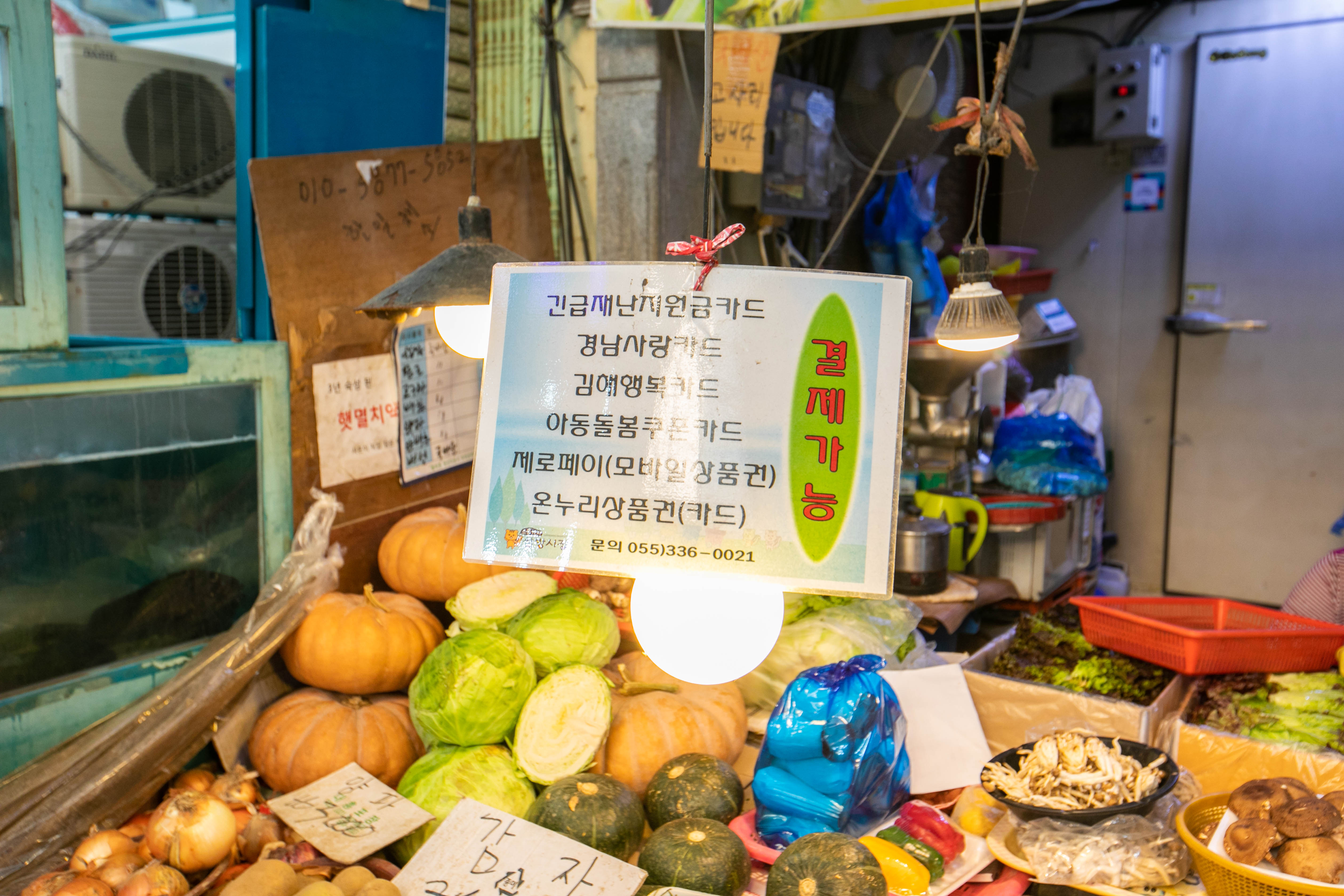 한일채소