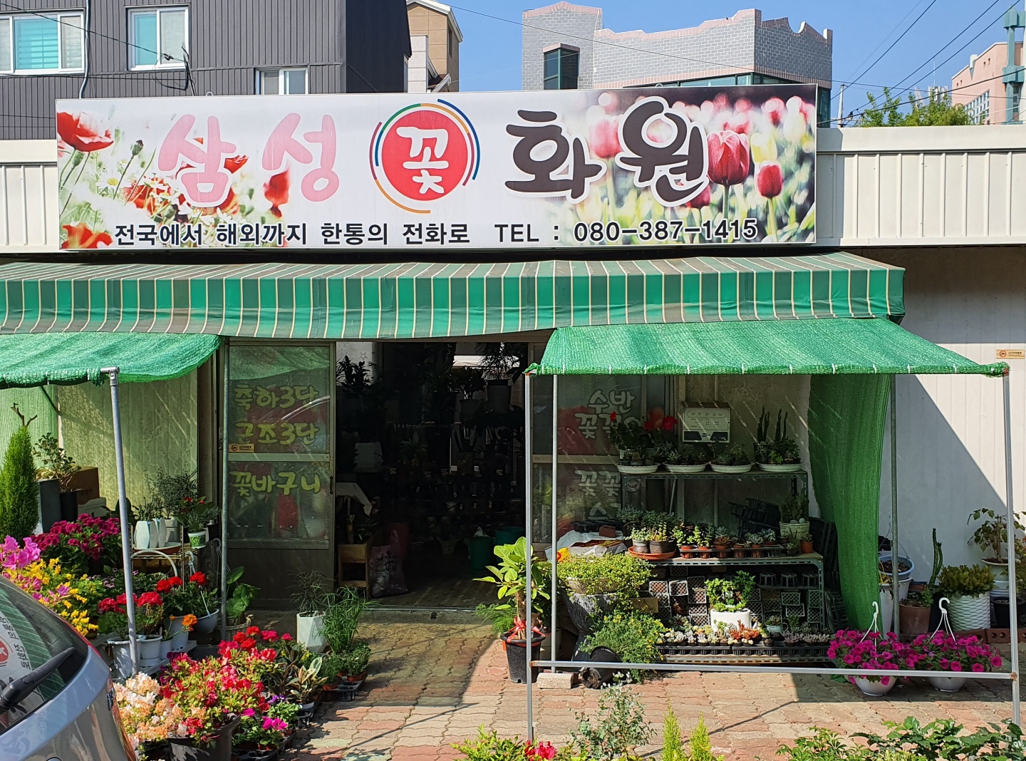 삼성화원꽃집