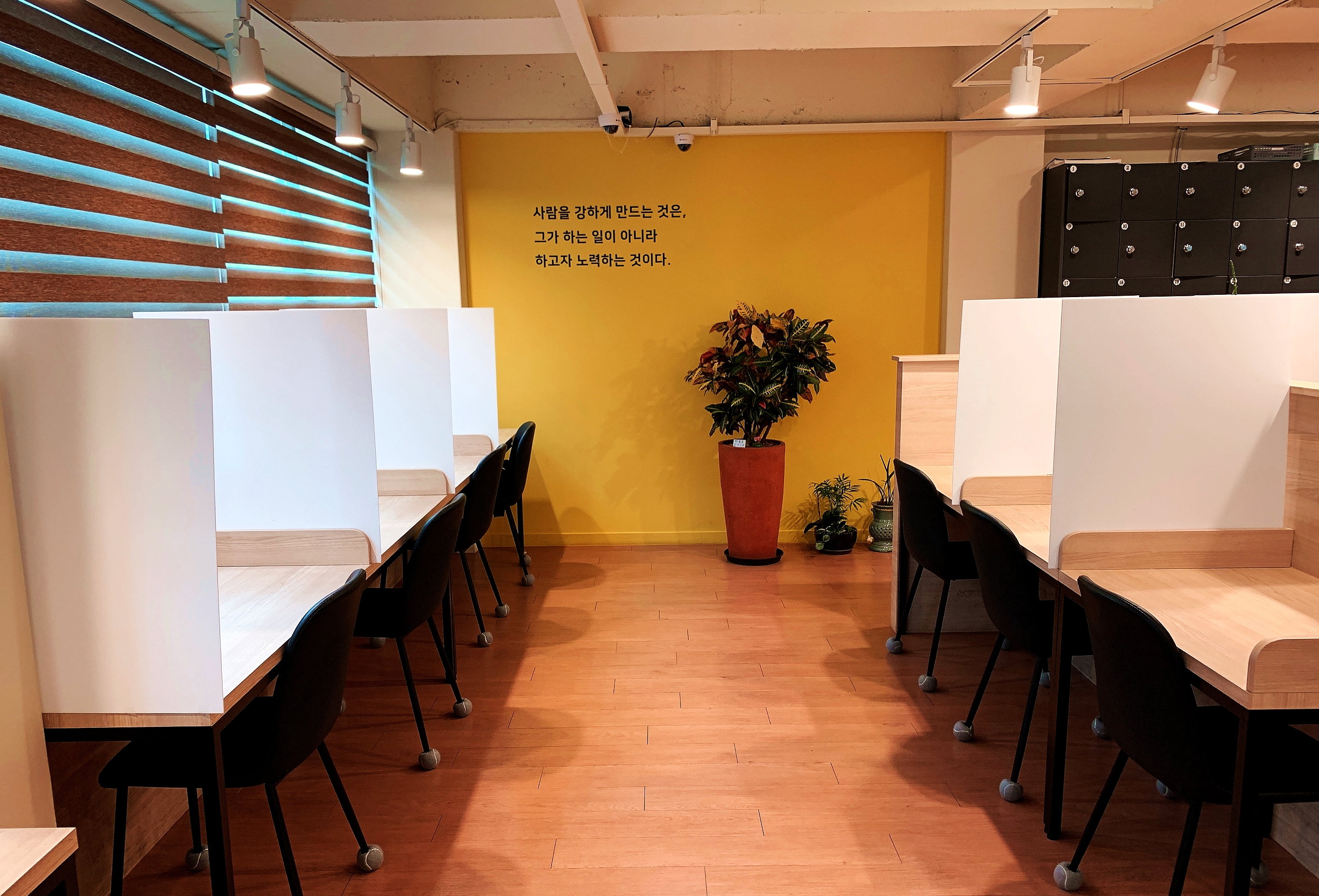 업체사진