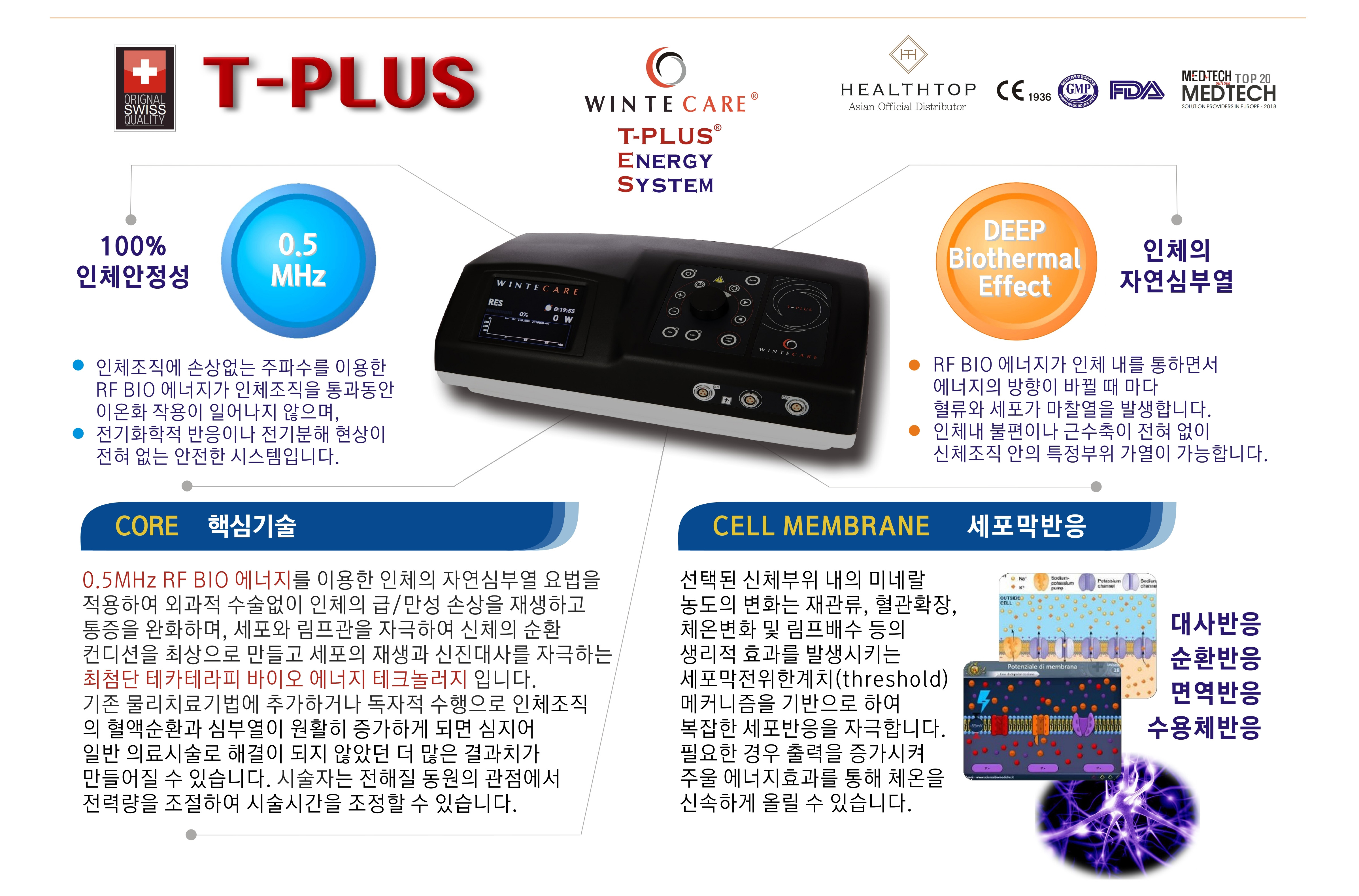라파셀