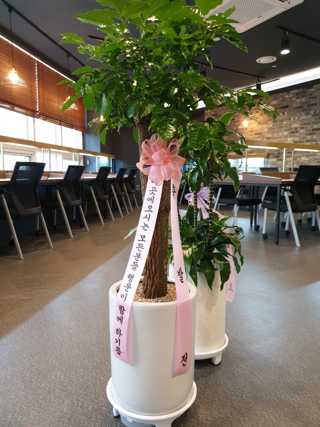 업체사진