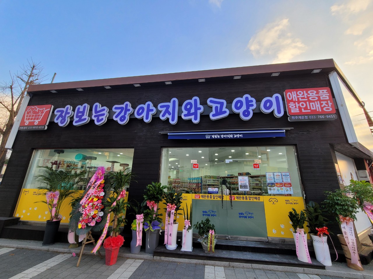 애견용품전문업체 추천 강원 원주시 지역 우수업체 강아지목줄 강아지쿨나시 강아지쿨조끼 장보는강아지와고양이 원주개운점
