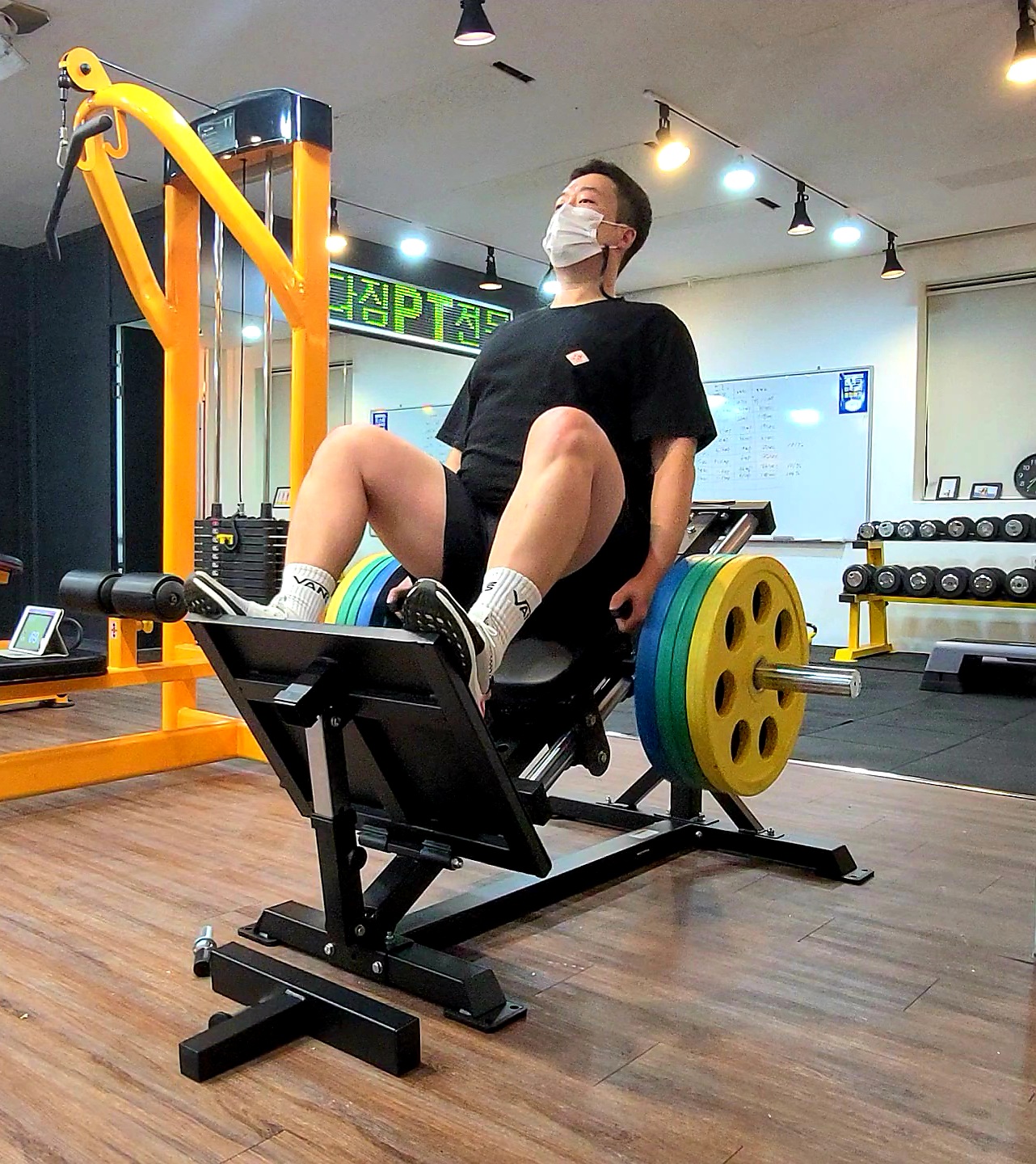 다짐피티전문샵