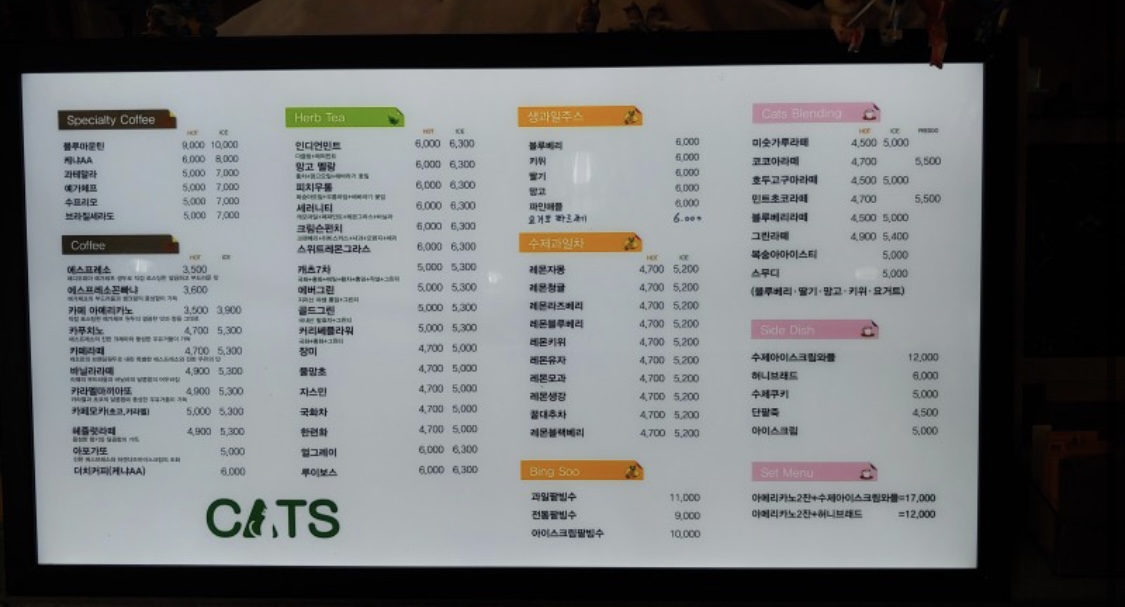 캐츠