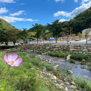 옥전캠핑장