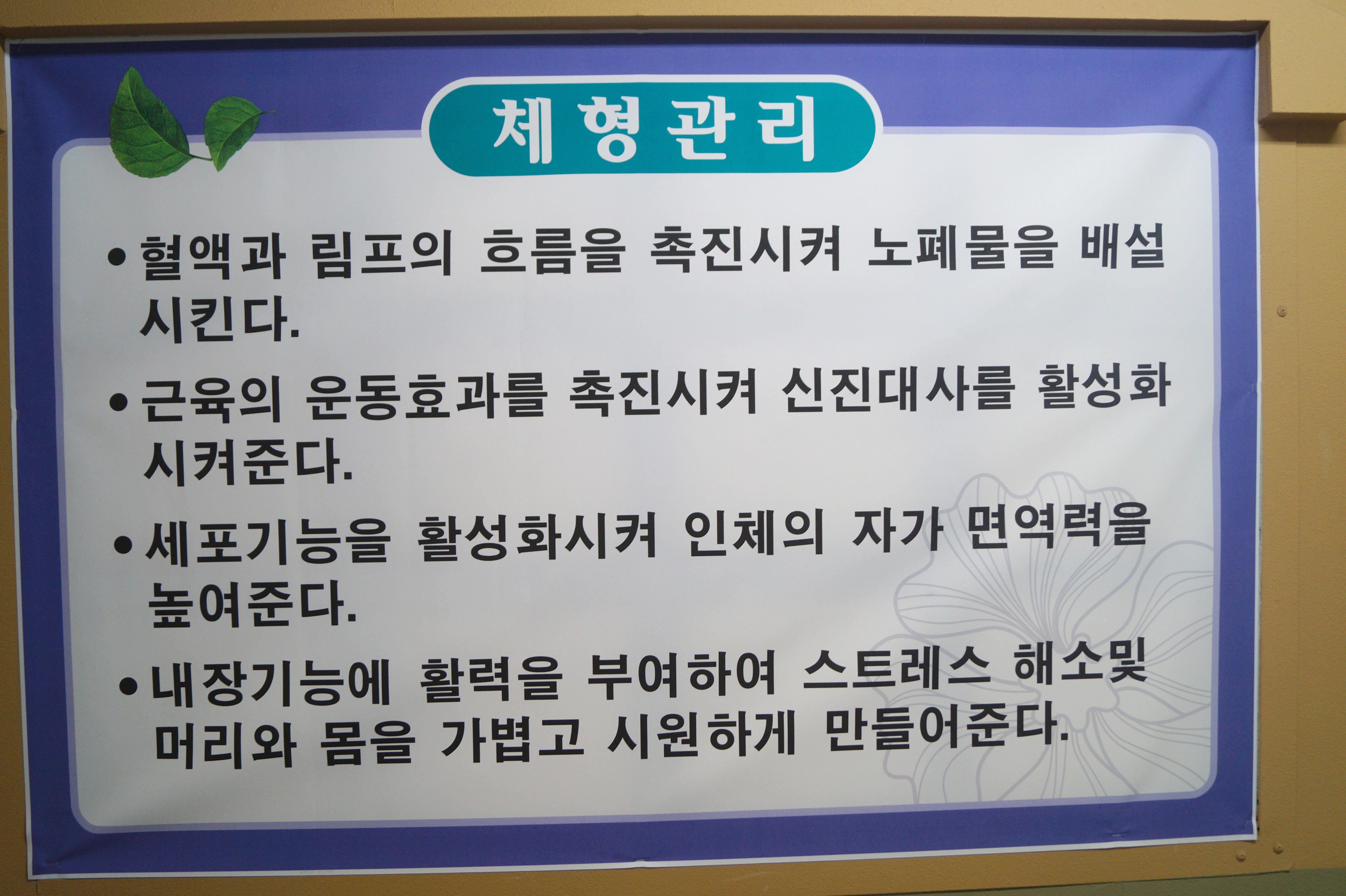 문래체형관리 photo 6