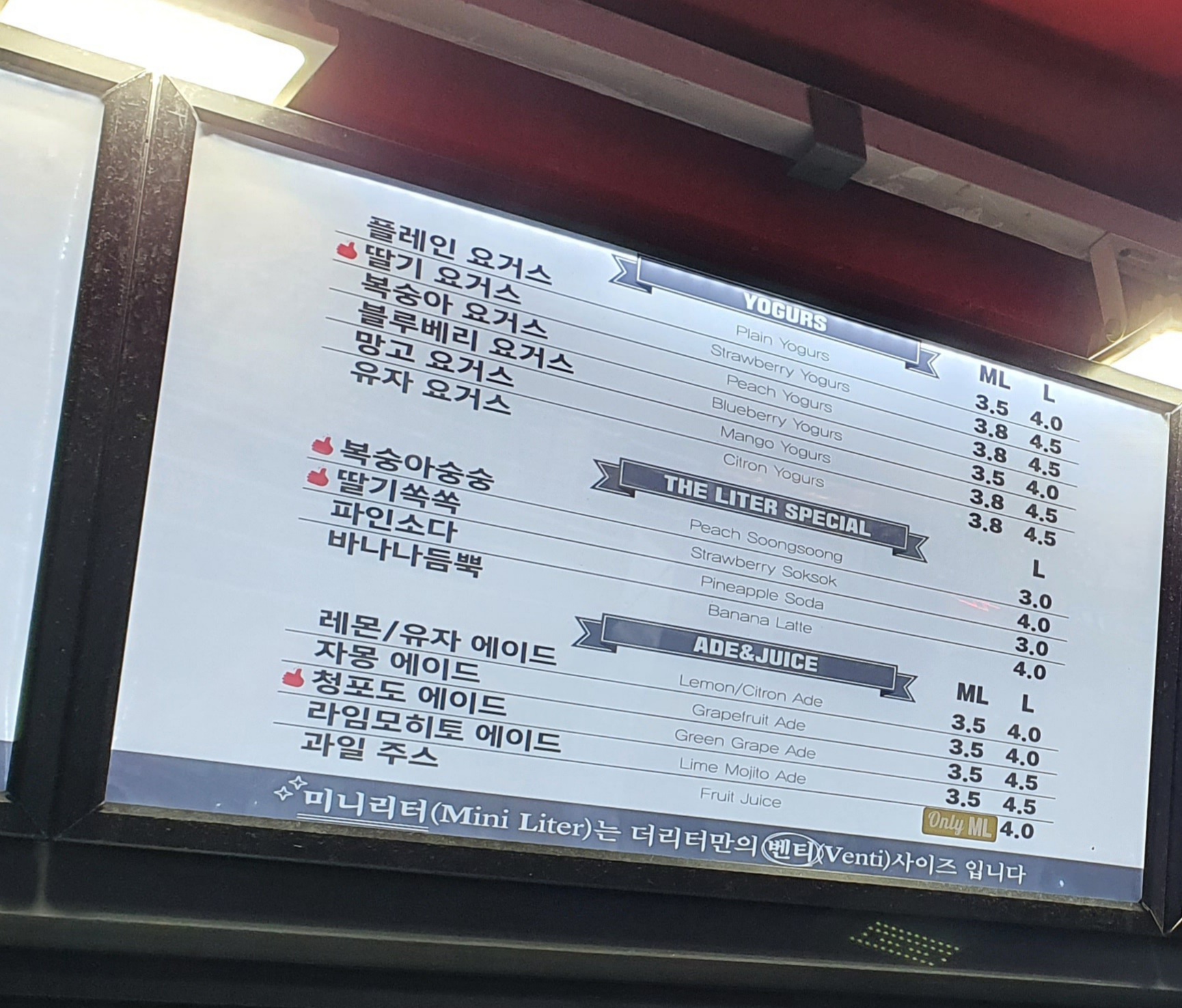 더리터 영주역점 경상 애견맛집