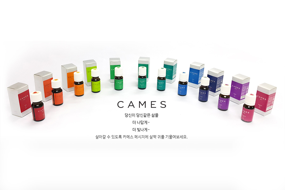 한국CAMES컬러테라피협회