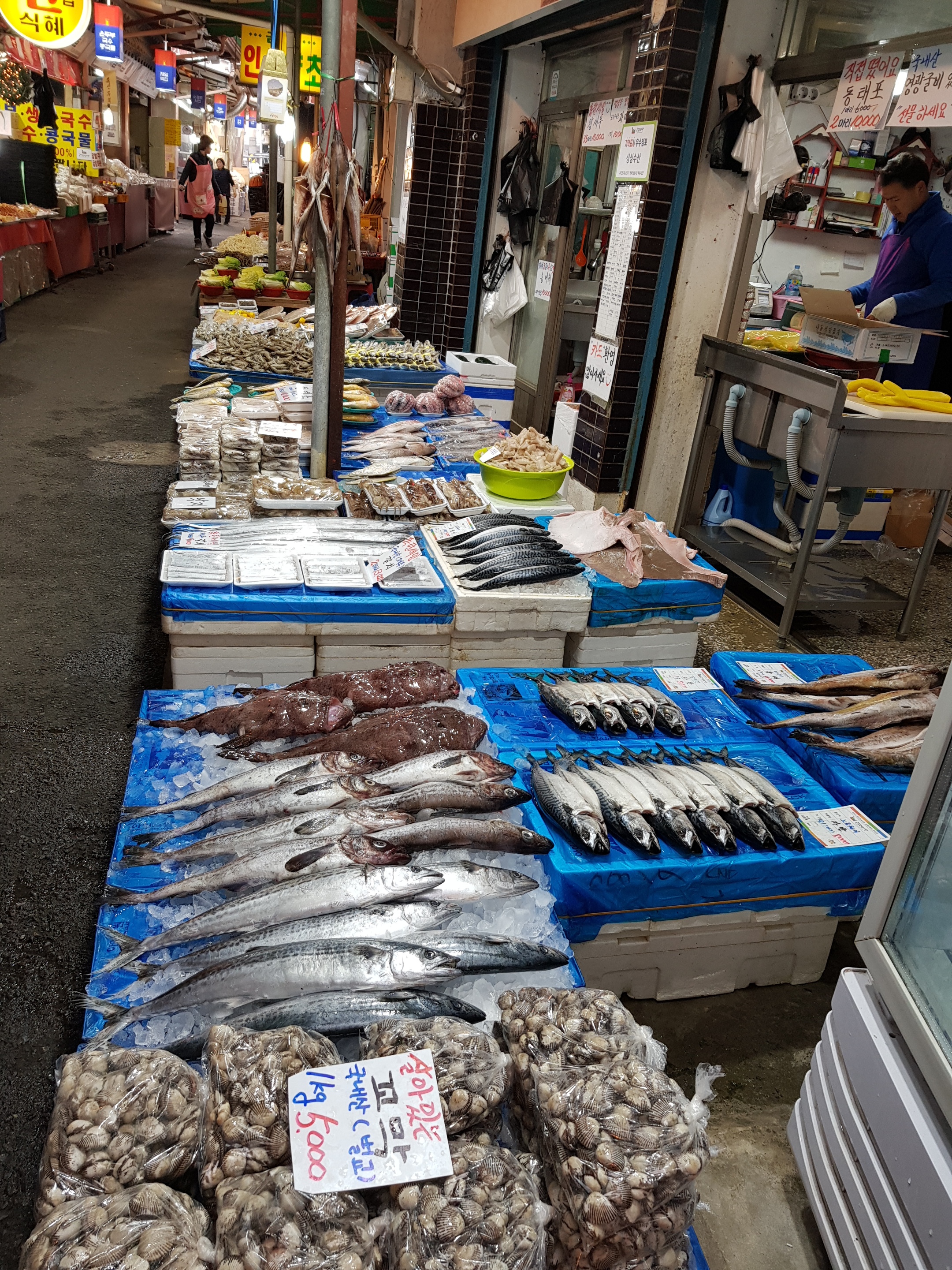 싱싱수산