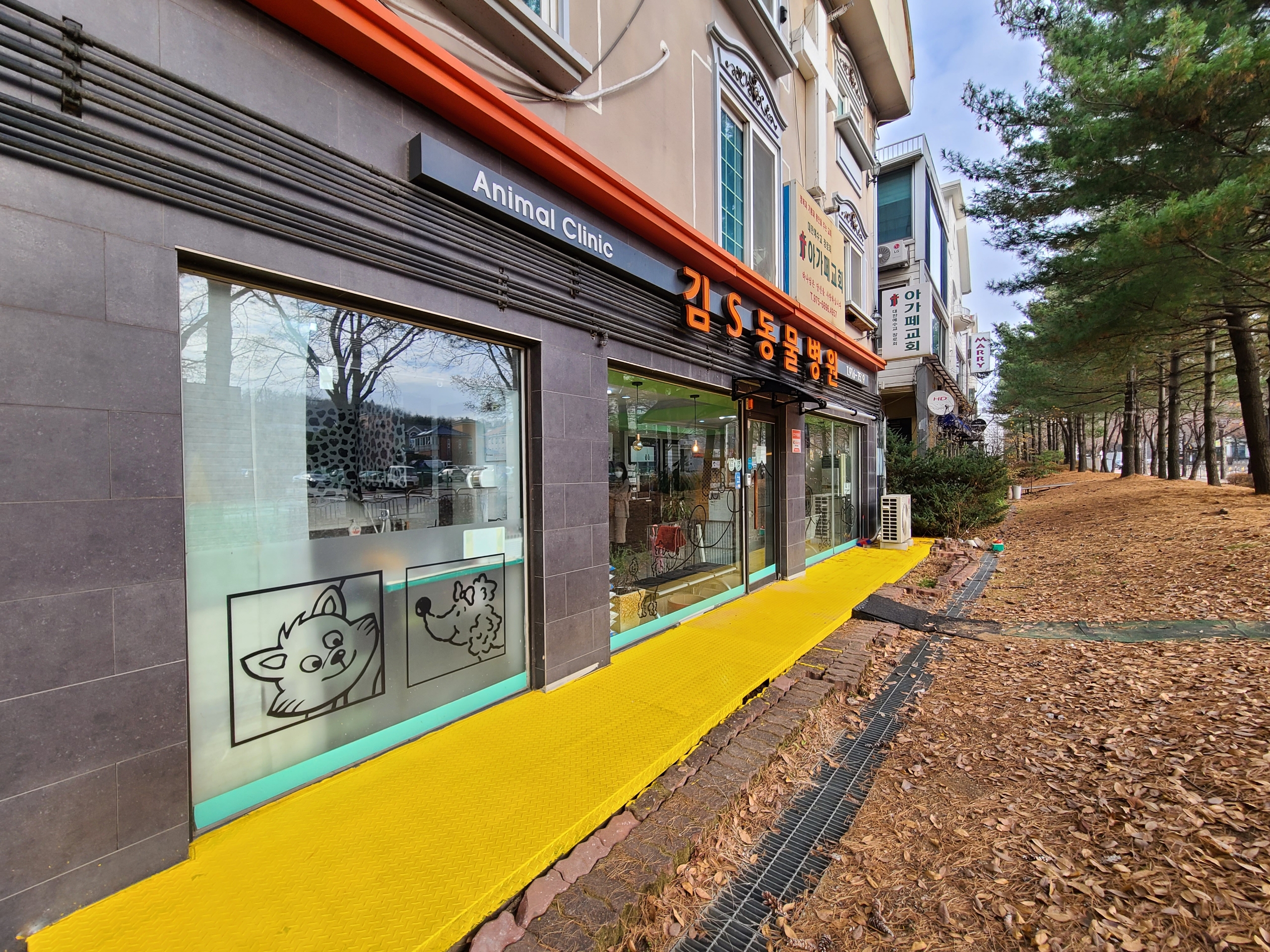 김s동물병원 대표 이미지