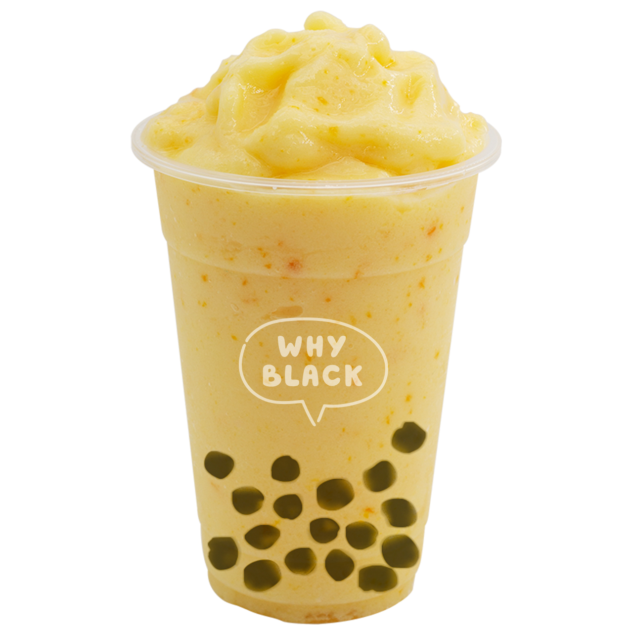 와이블랙 광교