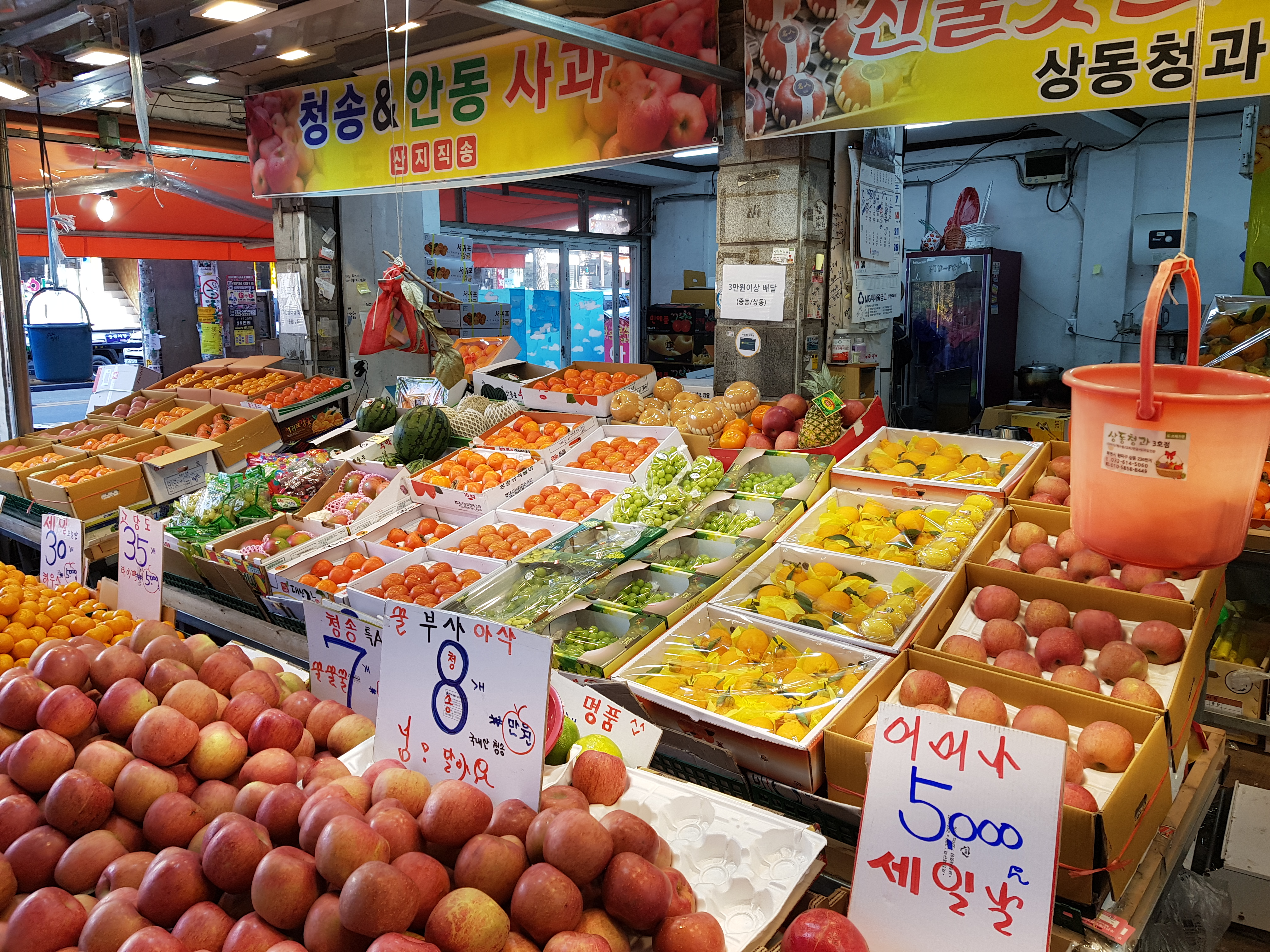 상동청과