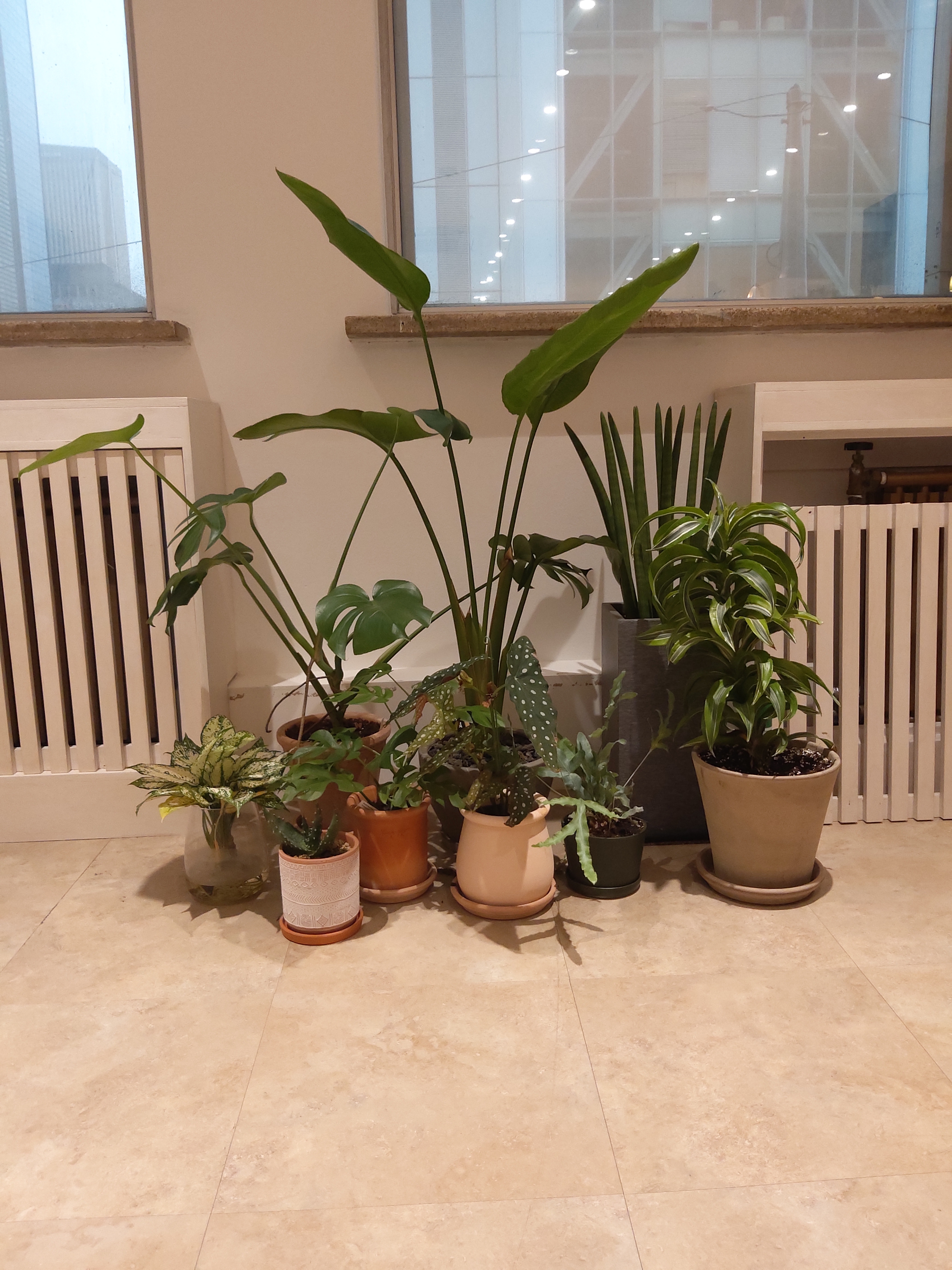 광화문숲정신건강의학과의원 대표 이미지