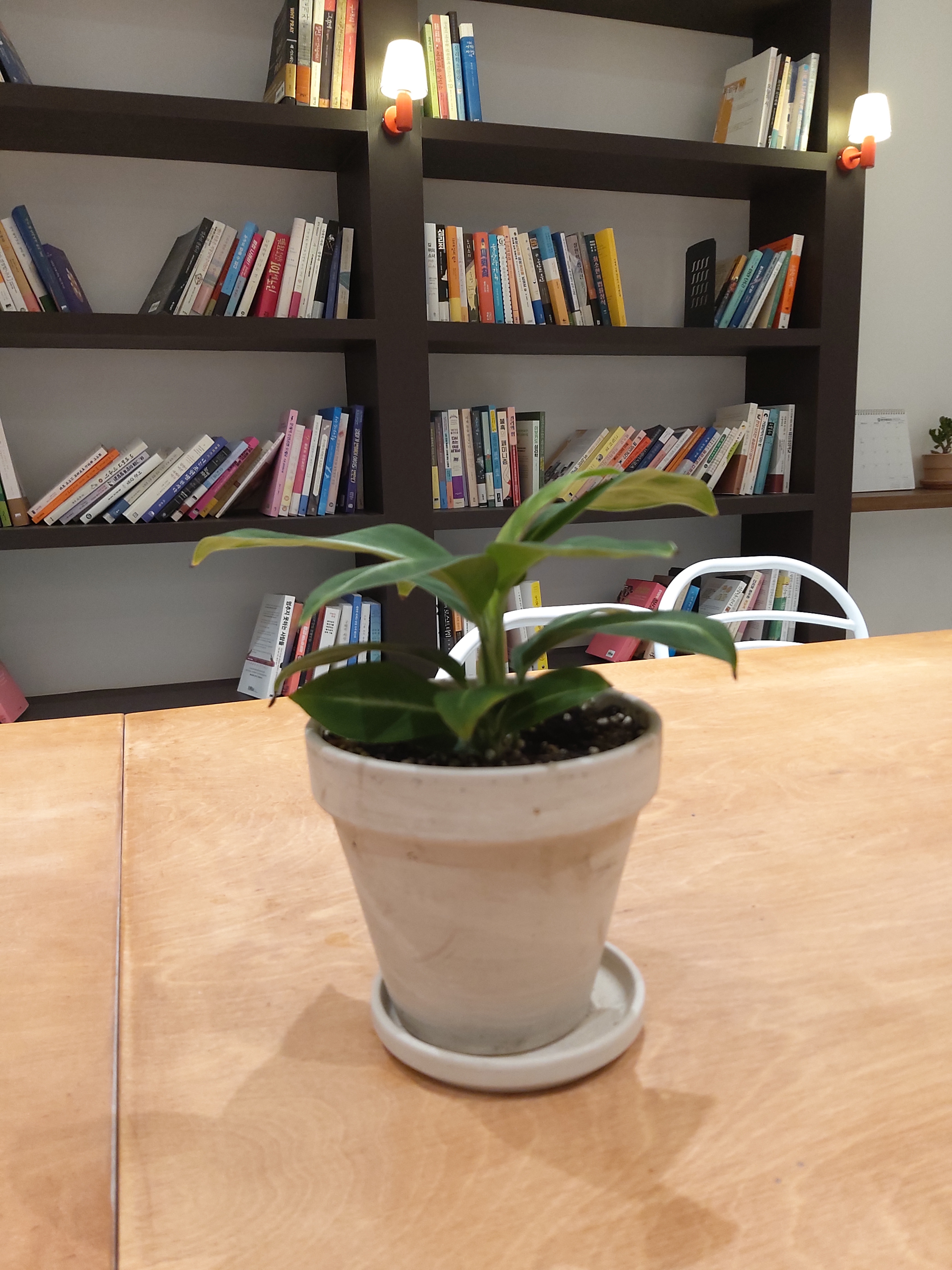 광화문숲정신건강의학과의원 대표 이미지