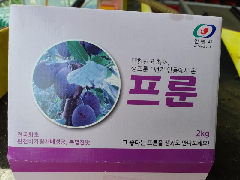 청량산자락송이