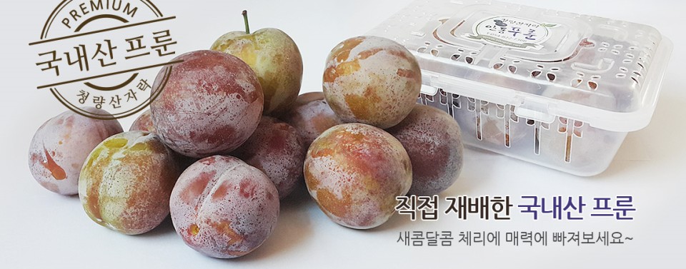 청량산자락송이