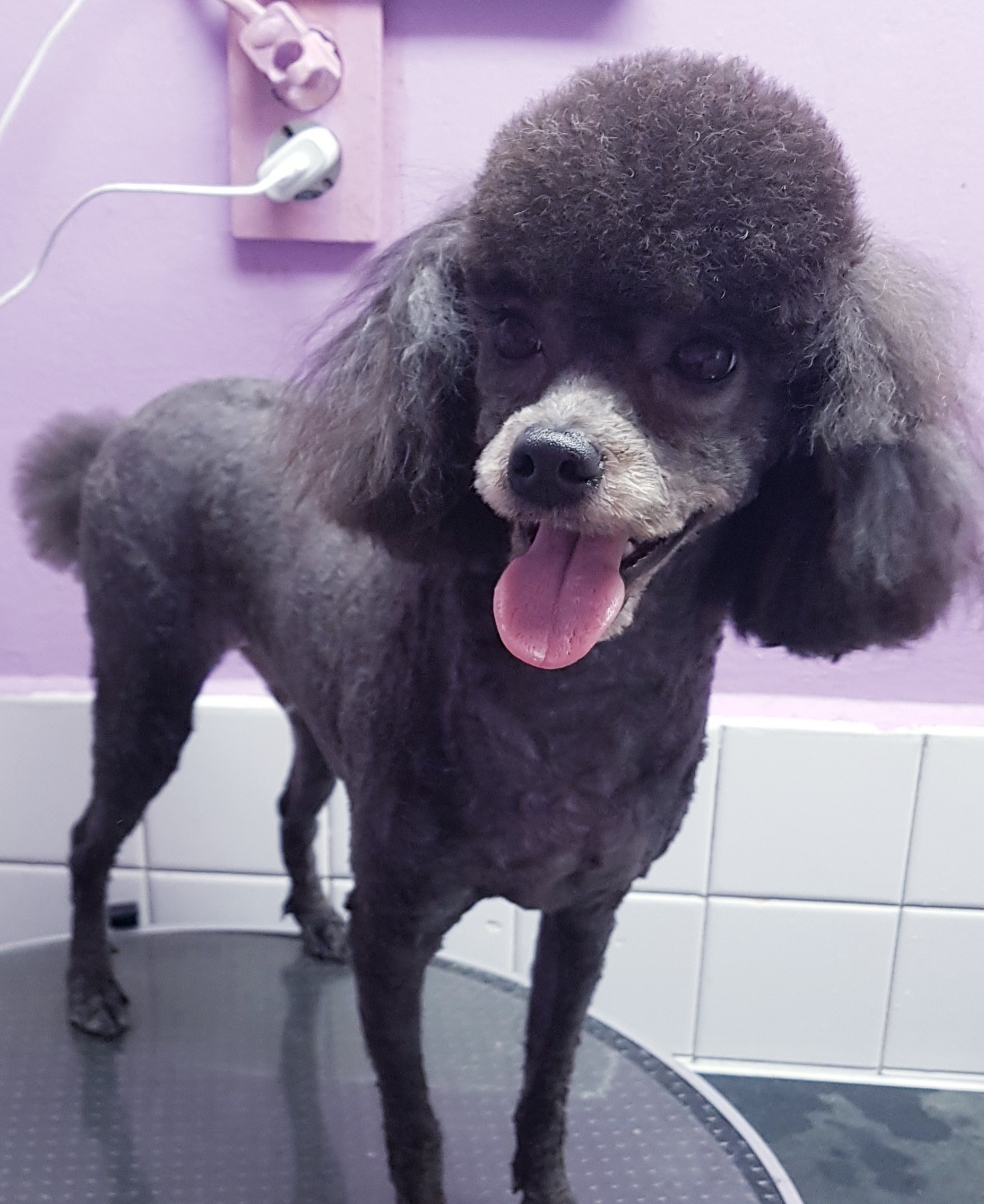 루이독 대표 이미지