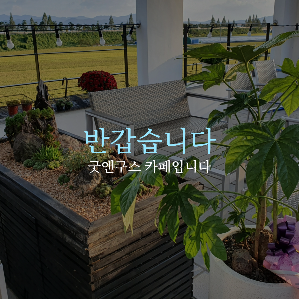굿앤구스