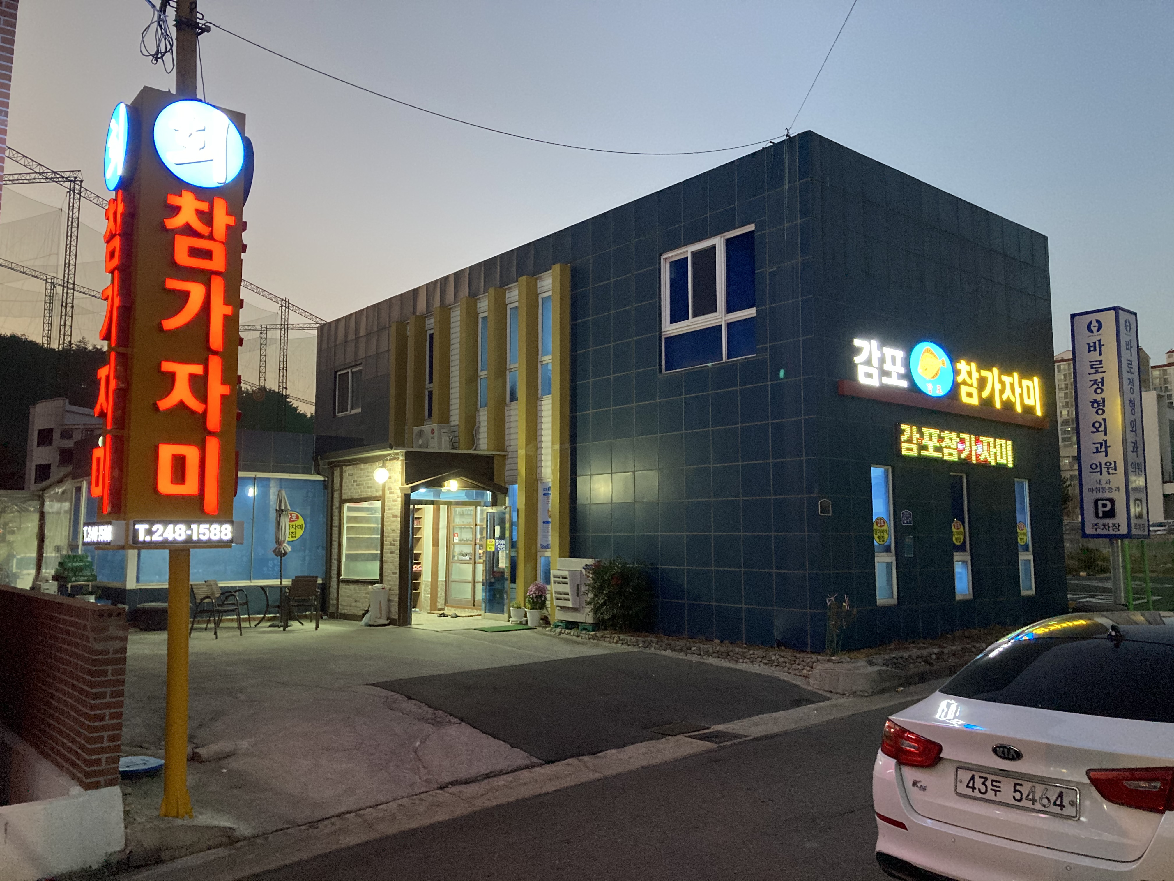 감포참가자미