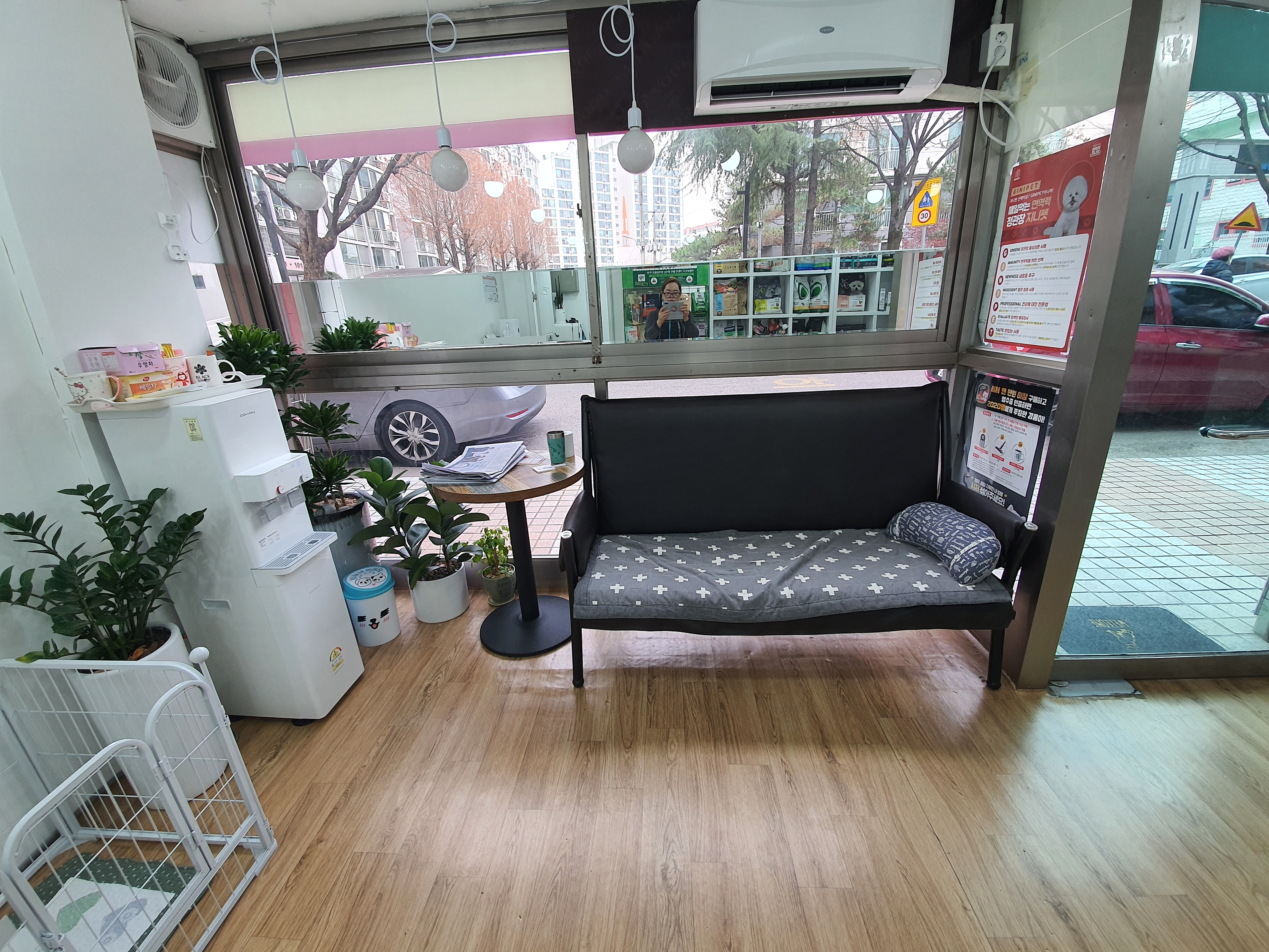 쓰담쓰담애견샵 대표 이미지
