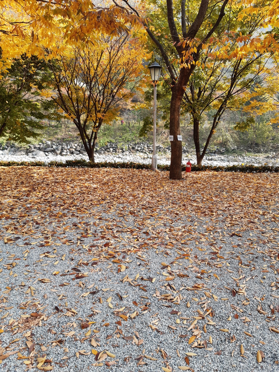 엘림펜션캠핑장