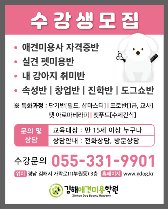 김해애견미용학원 대표 이미지