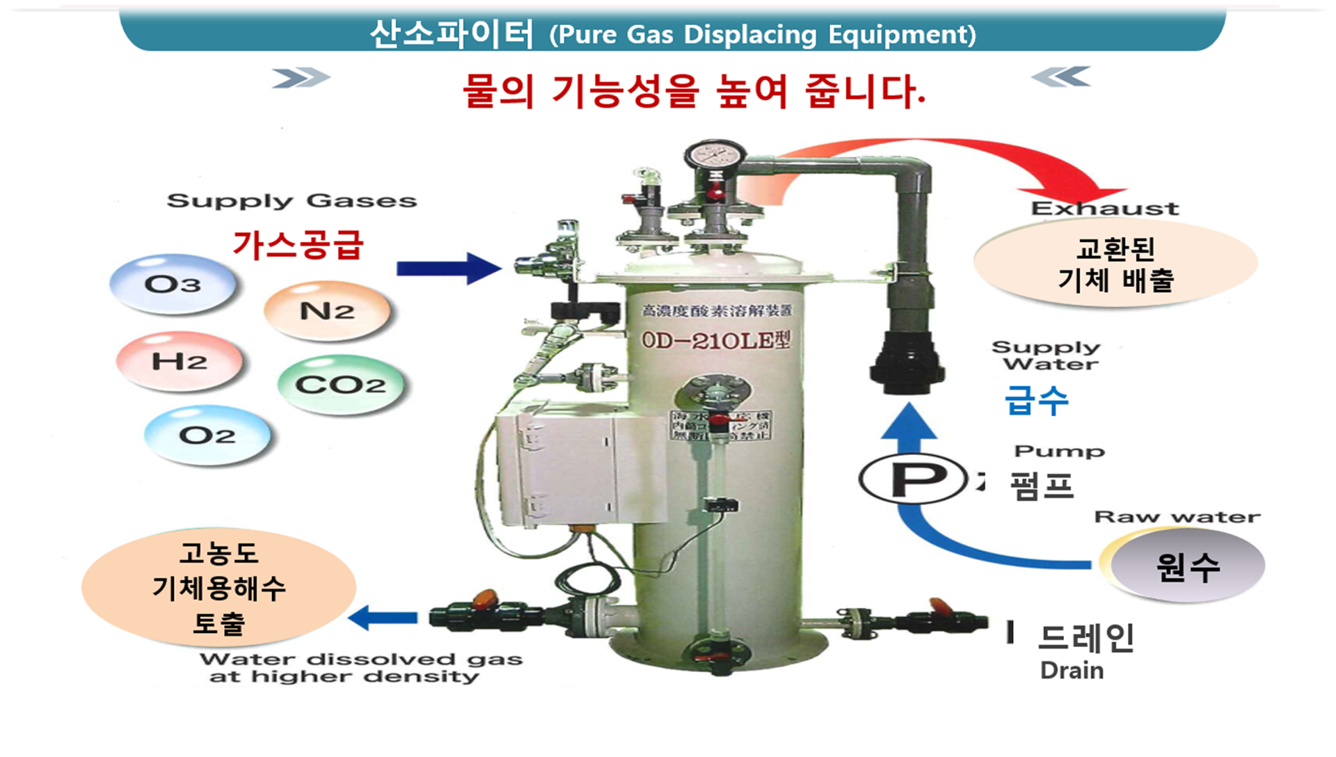 신우이엔이