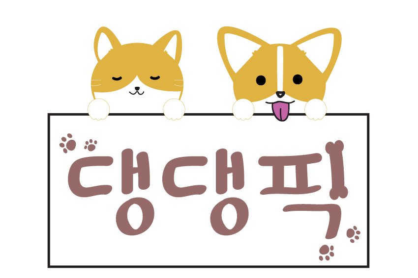 댕댕픽 내부 또는 관련 모습