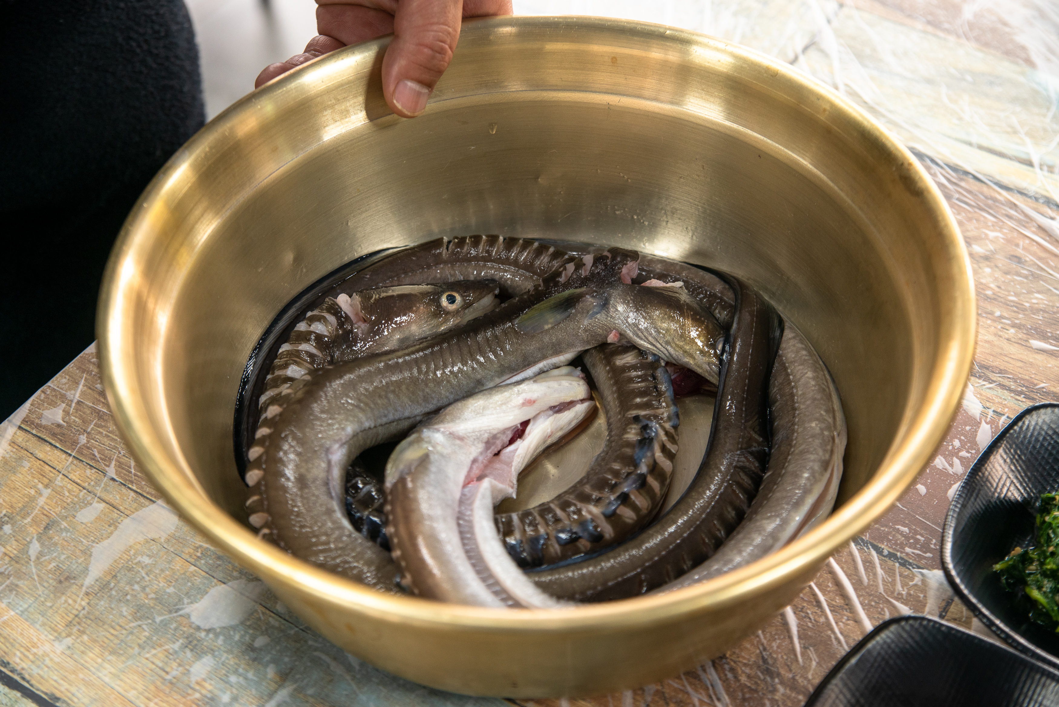 통발해오름 반려동물 동반 애견카페