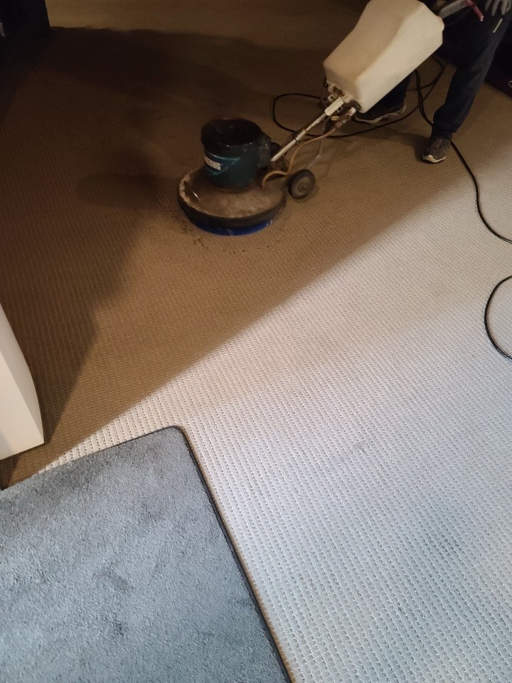 카페트세탁스팀지니 대표 이미지