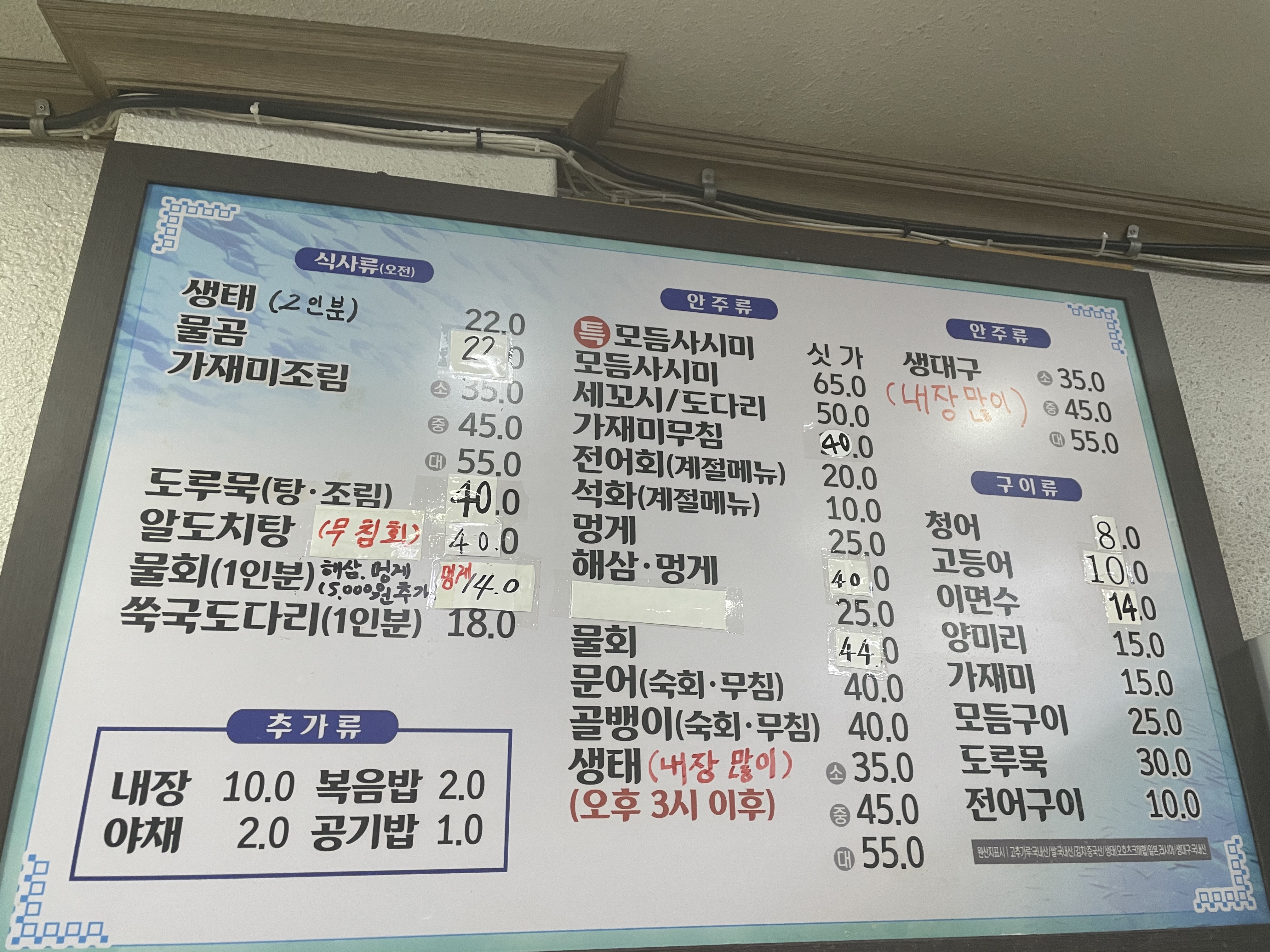속초생태집