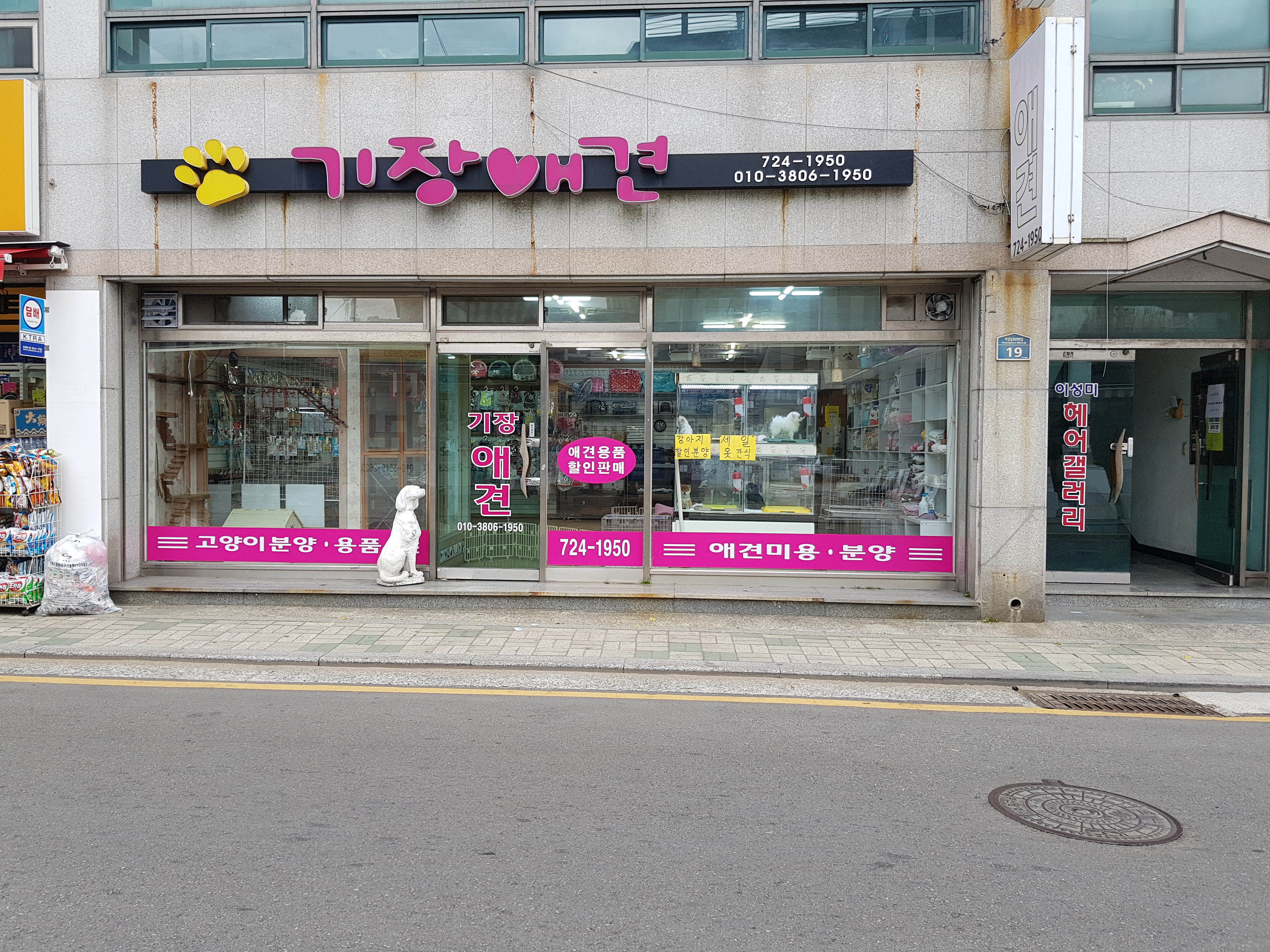 기장애견