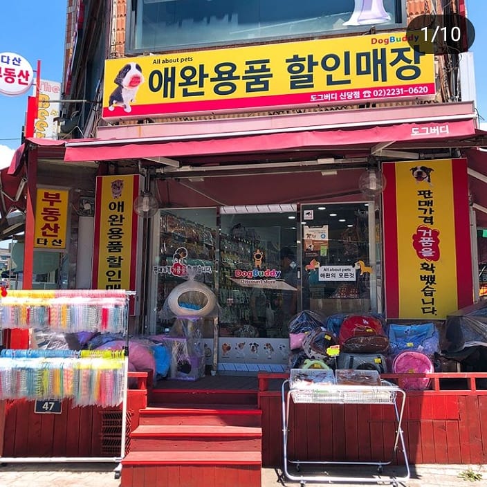 도그버디 신당점 내부 또는 관련 모습