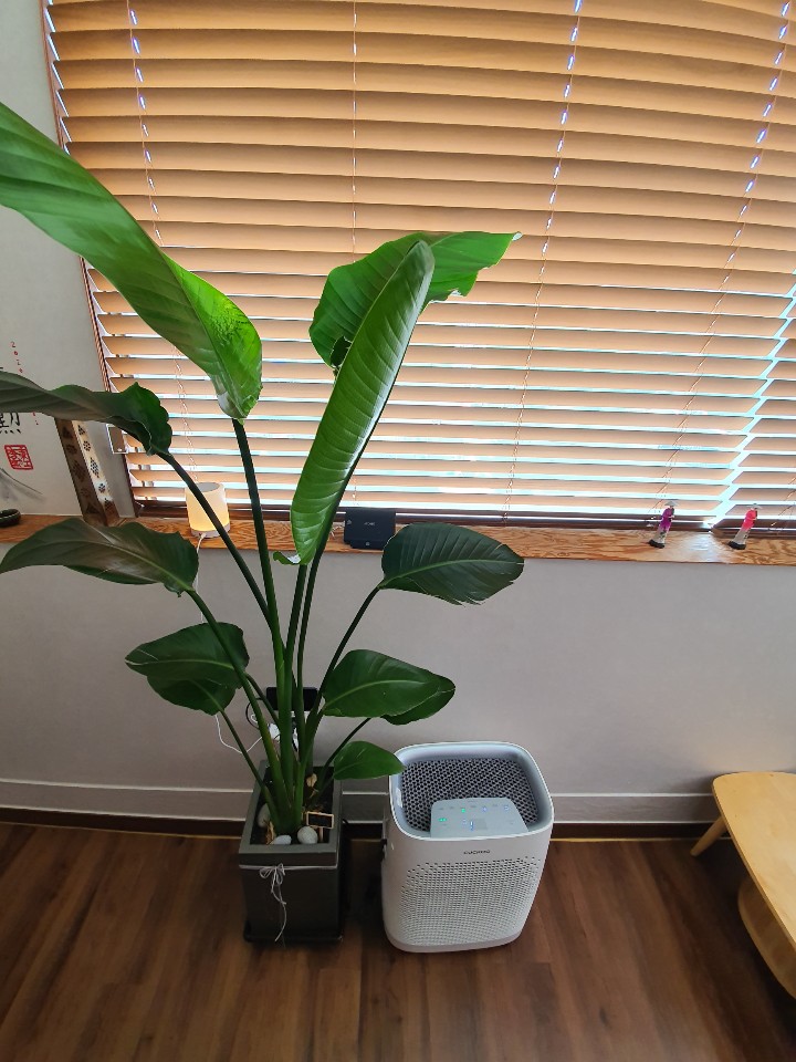 공테라피 photo 10