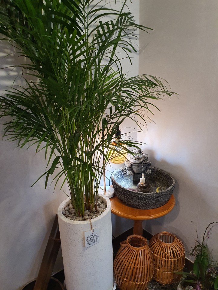 공테라피 photo 7