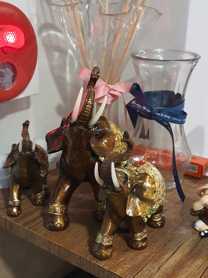 공테라피 photo 5