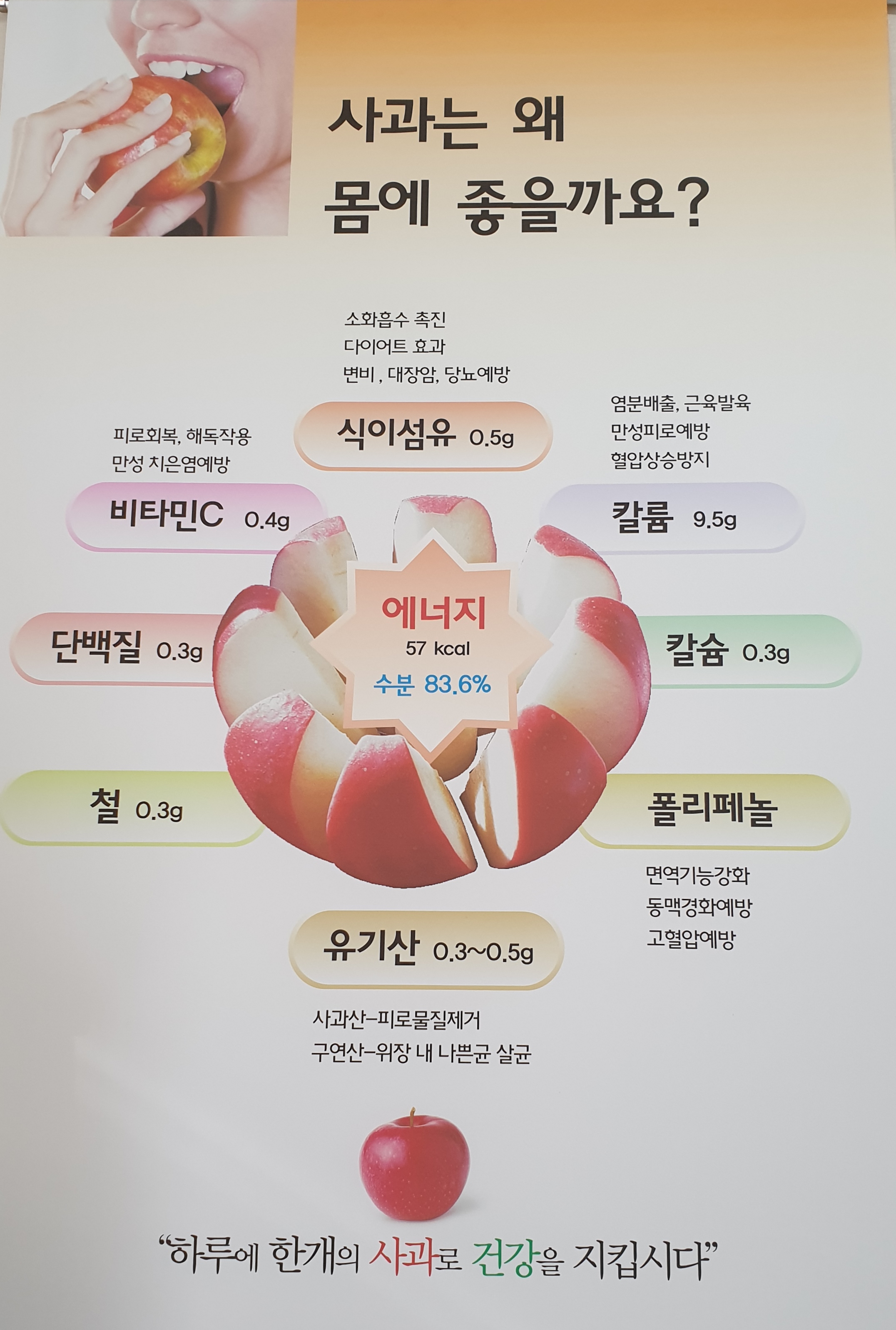 골안골사과농장