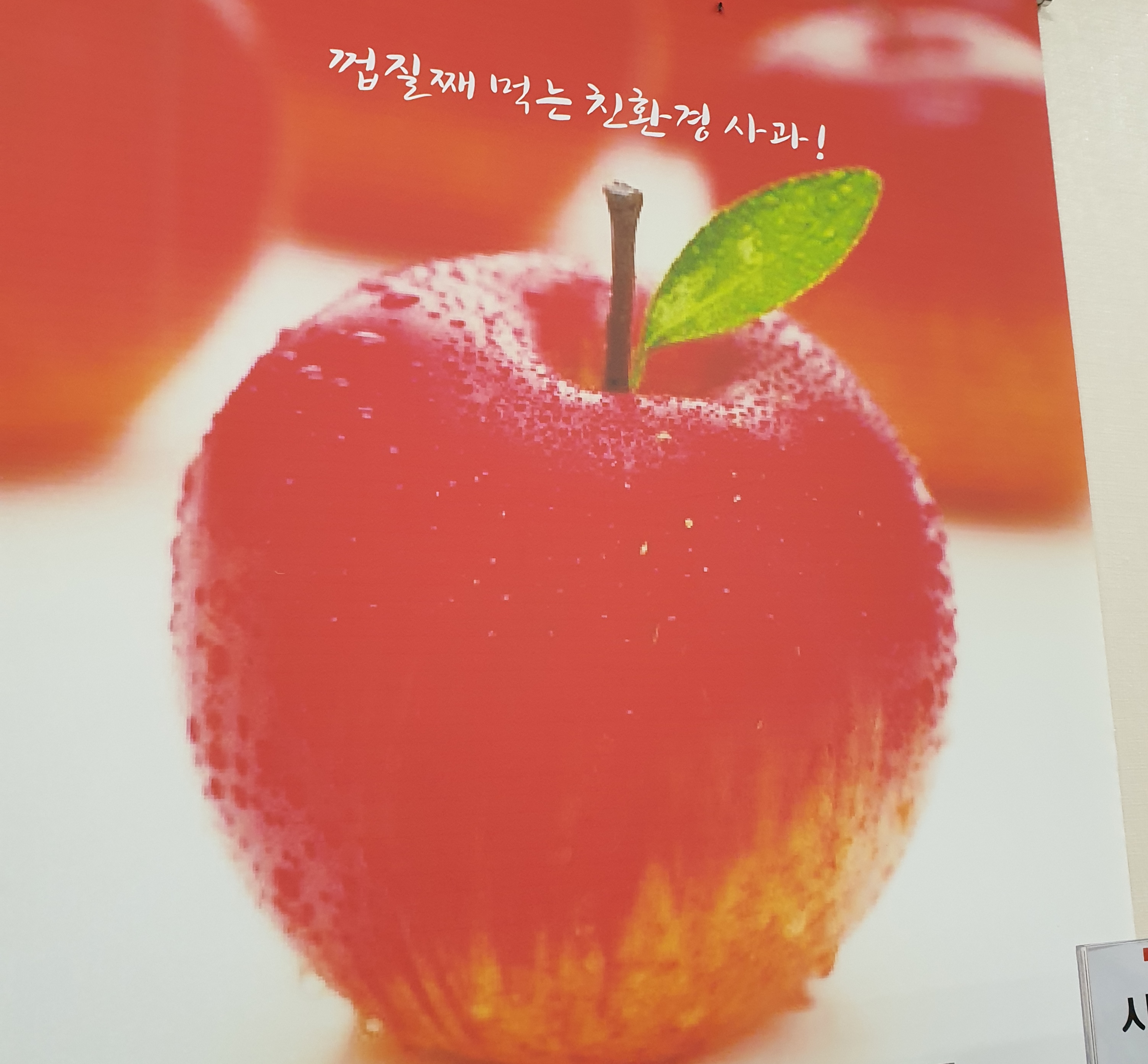 골안골사과농장