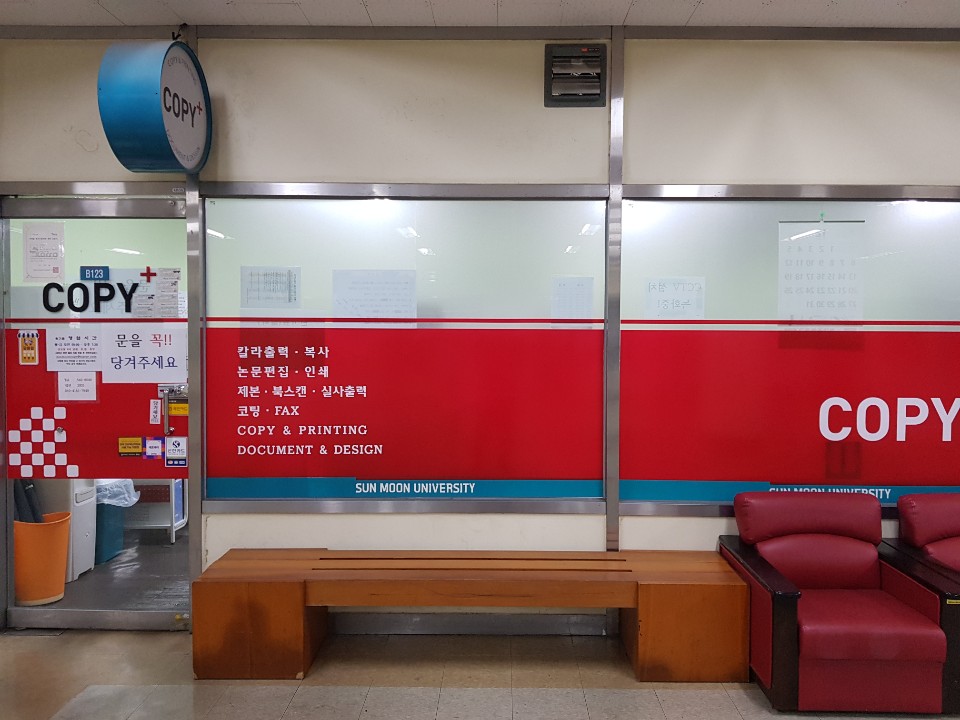 카피플러스