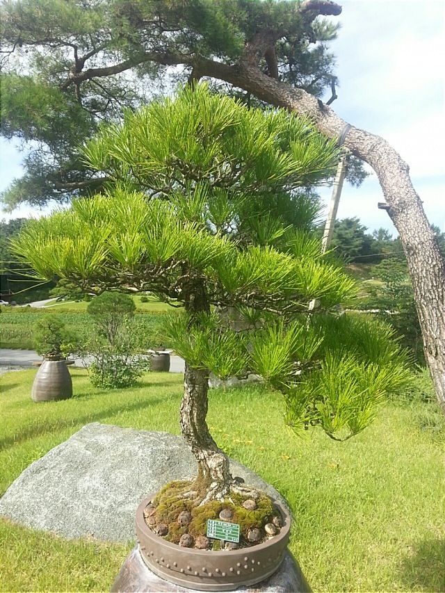 범산목장