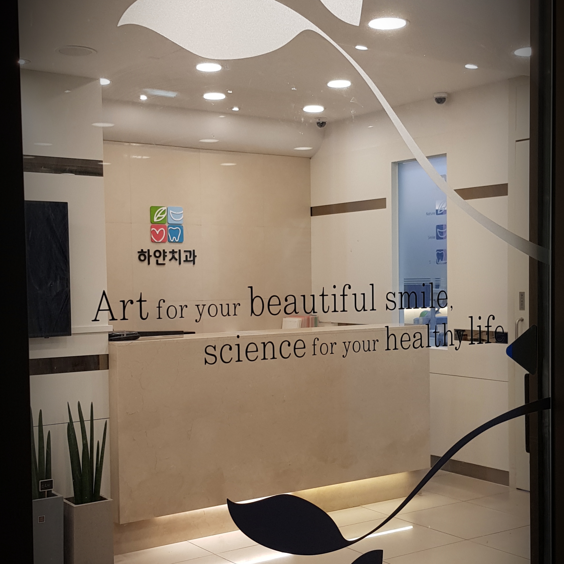 하얀치과의원 대표 이미지