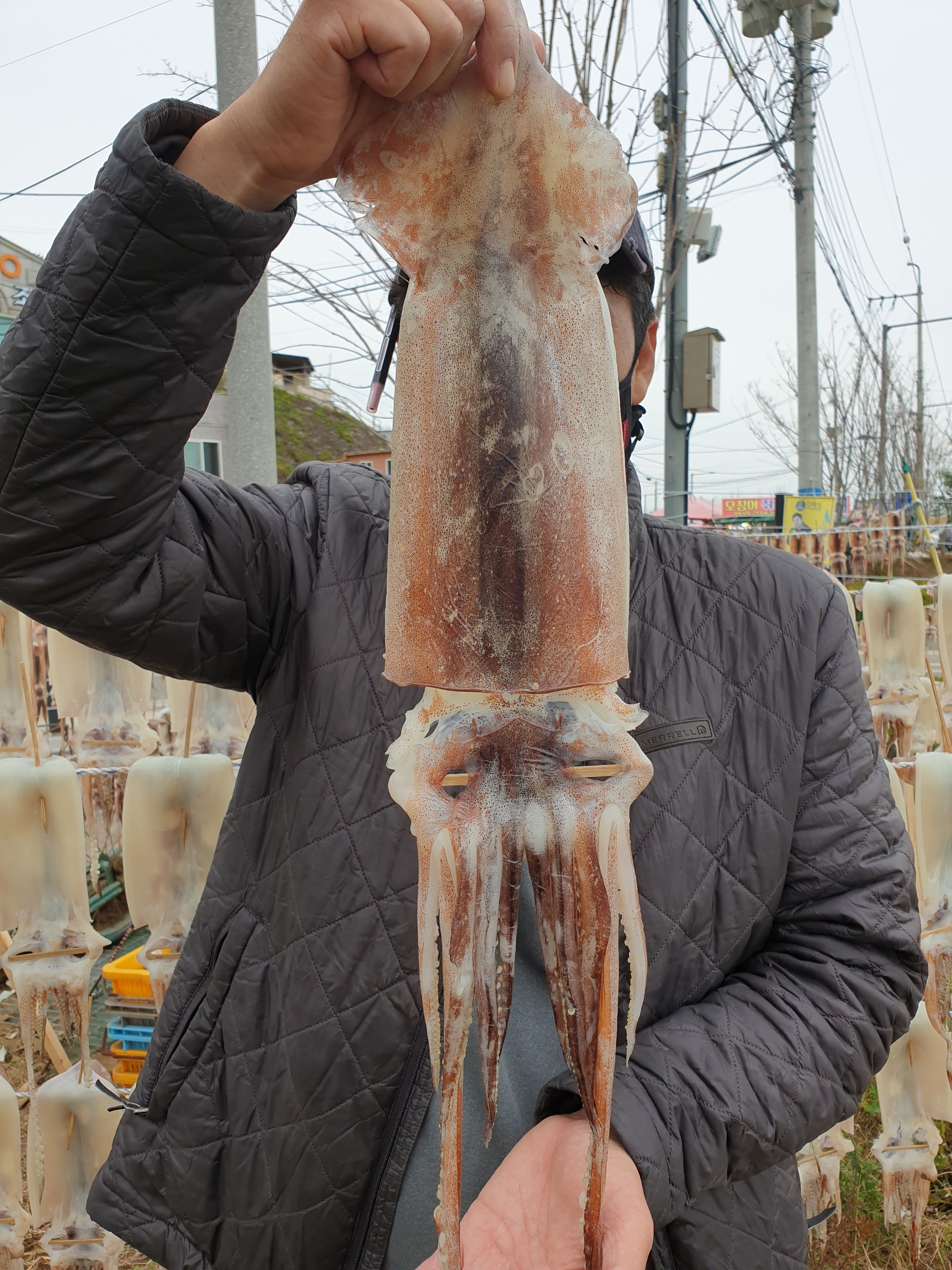 해맞이건어물