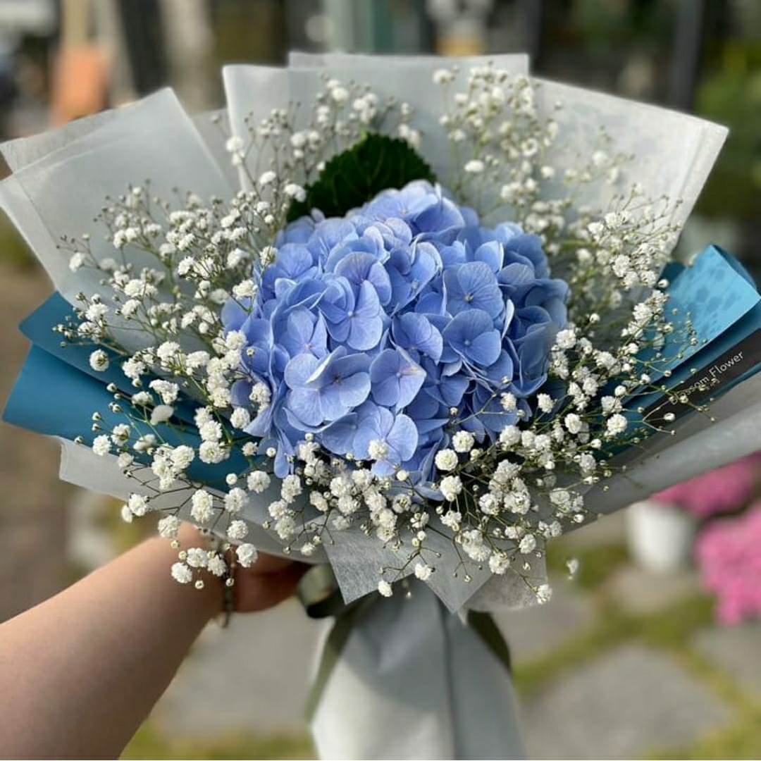 운정 블라썸 꽃집