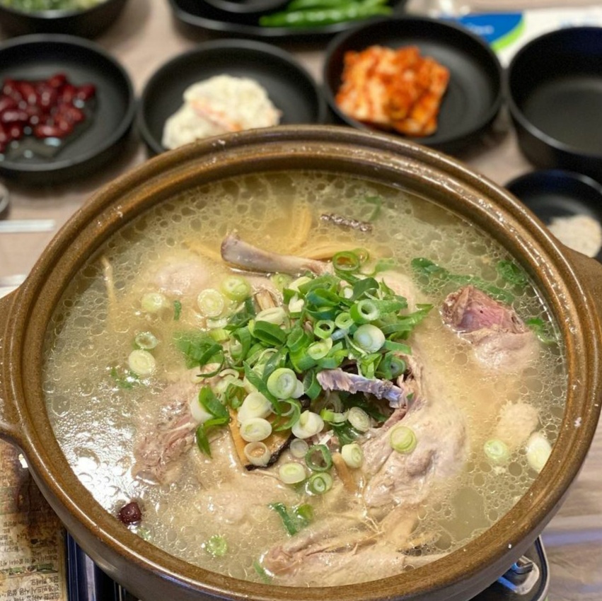 양지집 반려동물 동반 애견카페
