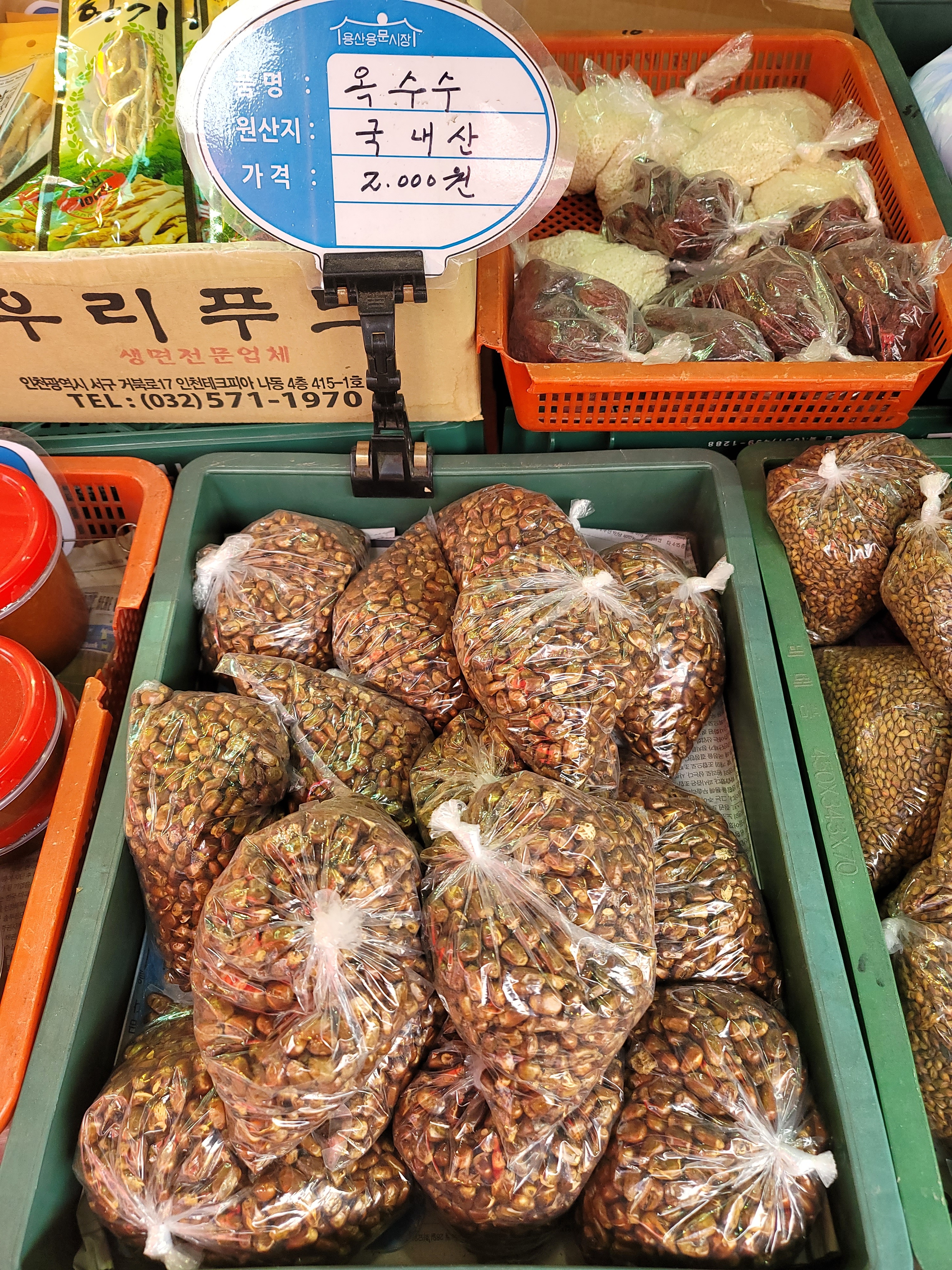 장수두부