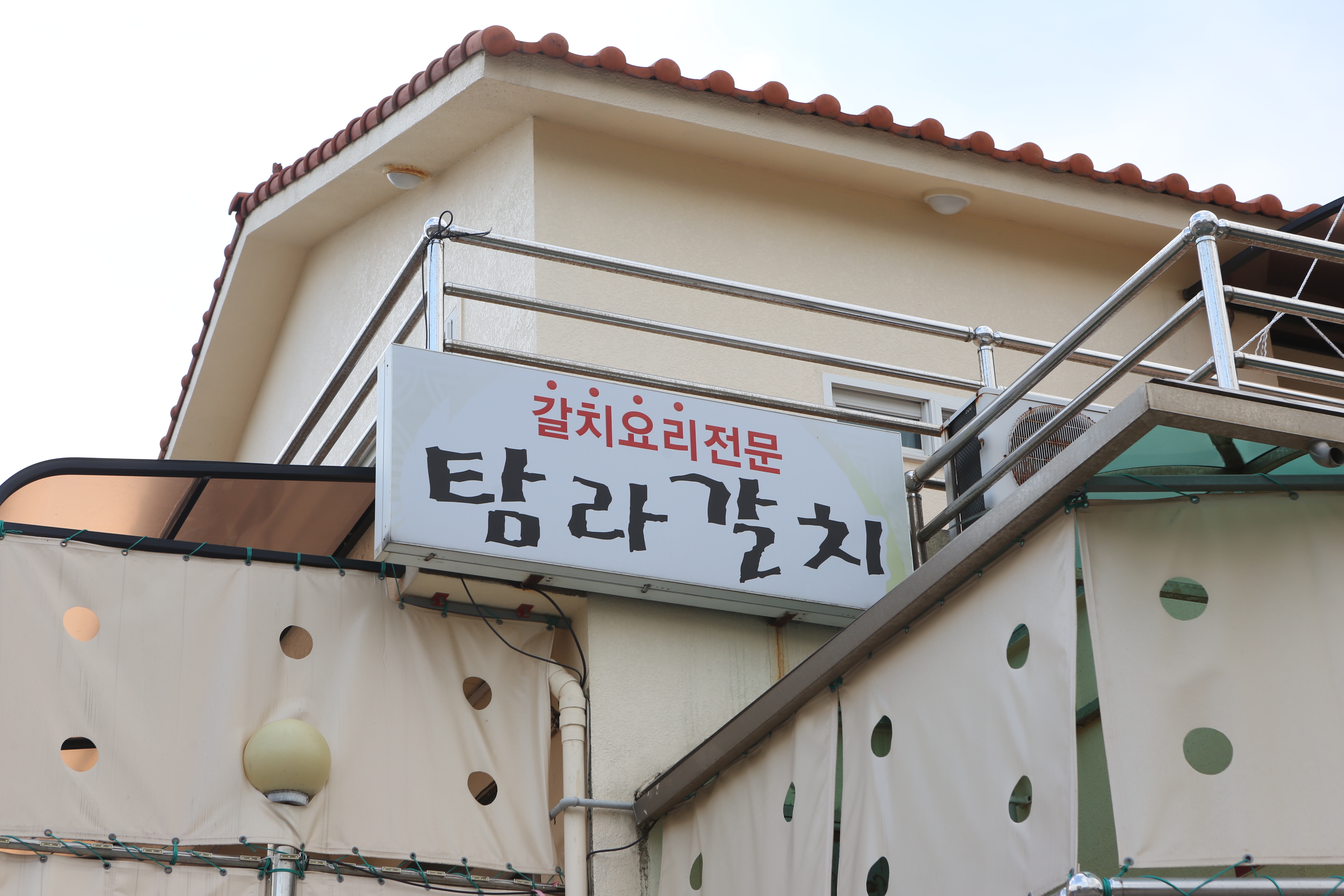 탐라갈치