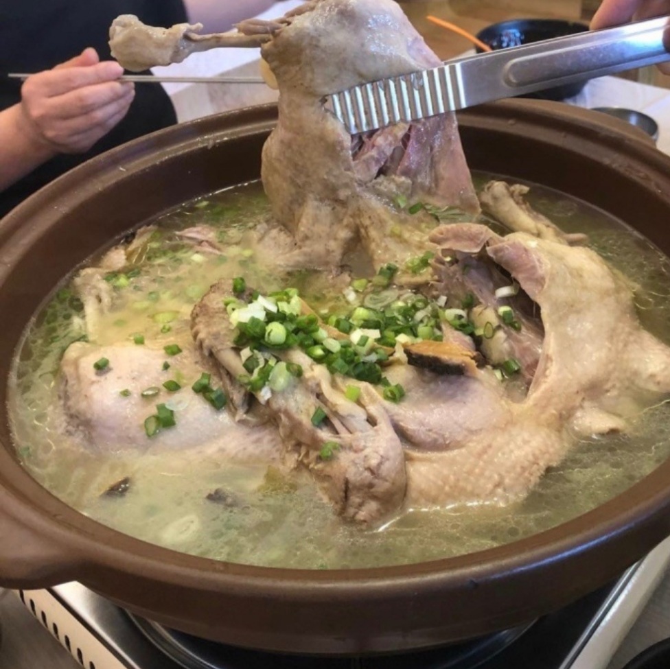 양지집 부산 애견맛집